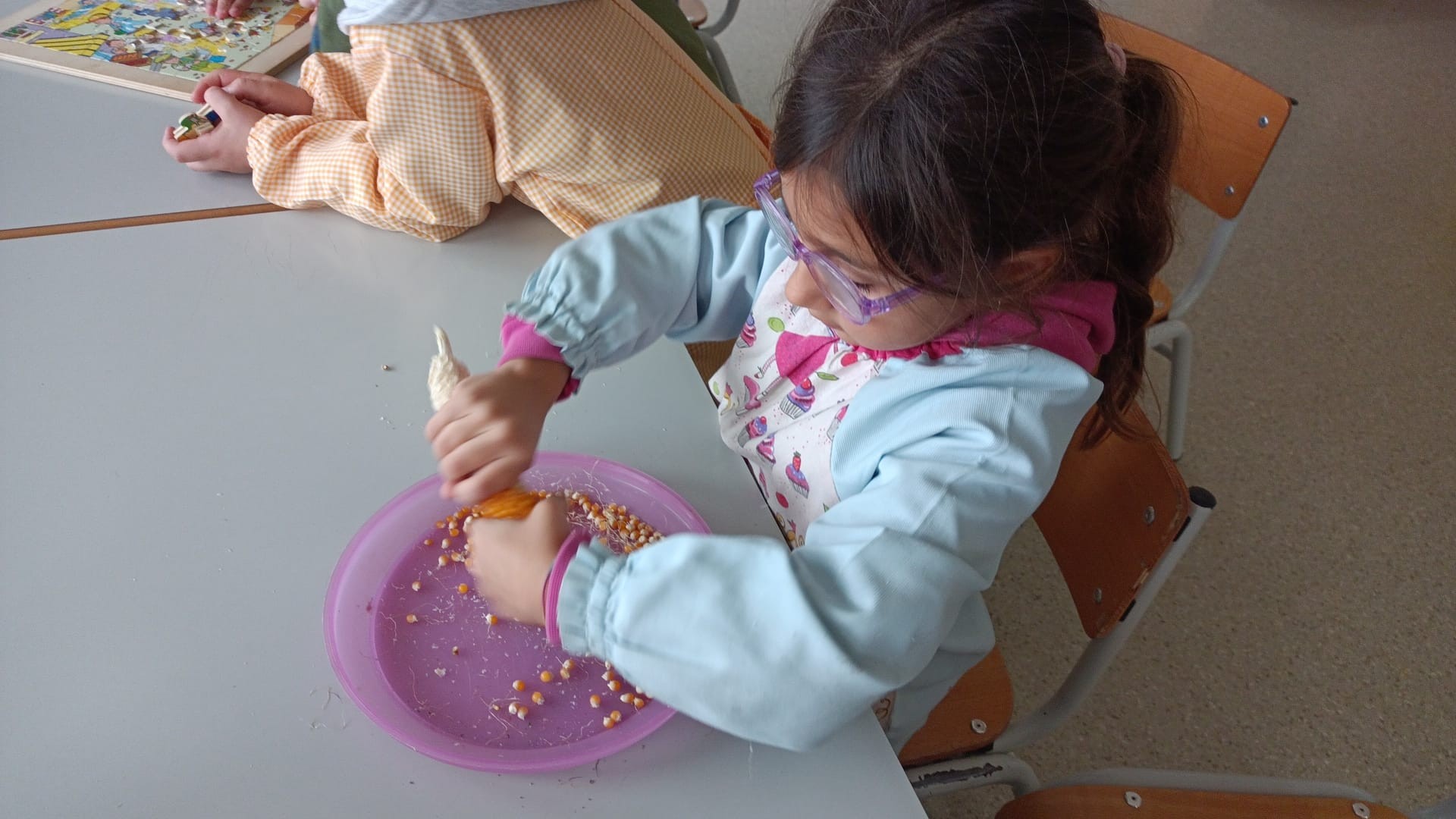 Depois de retiradas as espigas participaram na descamisada, colocaram as espigas a secar e separaram os grãos do milho, para depois utilizar na confecção das pipocas.