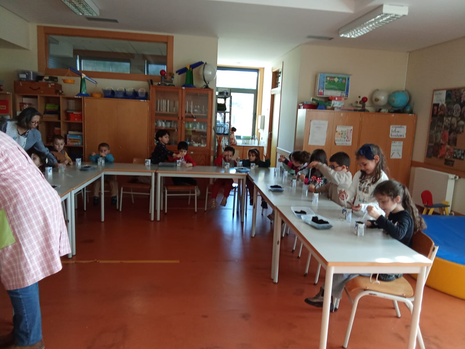 Reutilizando os pacotes vazios do leite, colocaram a terra que recolhemos no composto da escola e semearam as bolotas. Registaram posteriormente na sala a data da sementeira para saber quantos dias levariam a nascer.