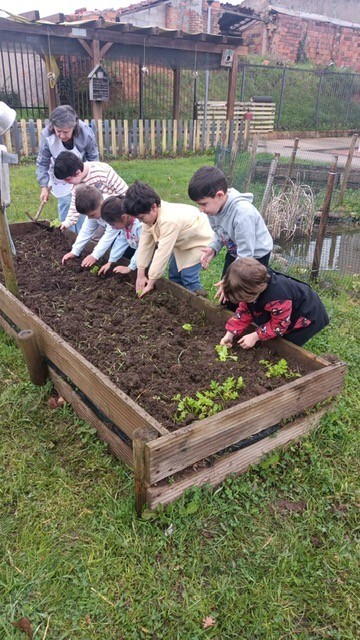 Quando algumas plantas já se encontravam prontas para serem transplantadas as crianças participaram na sua plantação. Porque utilizámos fertilizando de cavalo este só foi colocado posteriormente.
