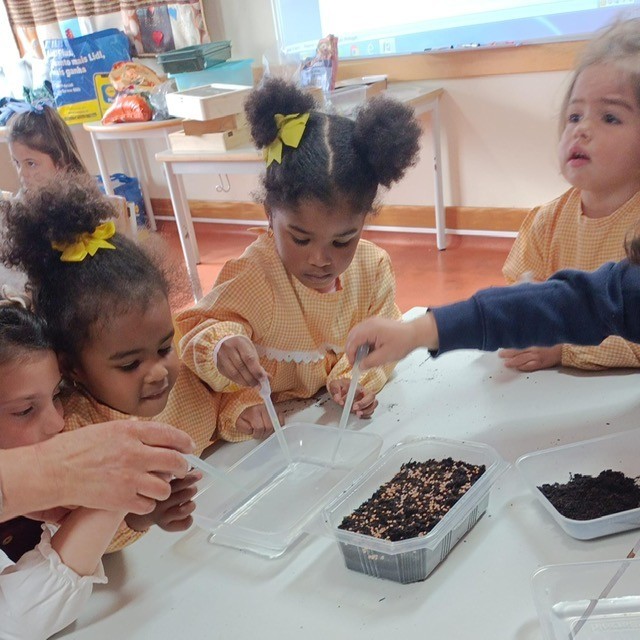 Para dar a conhecer alguma diversidade das hortas, escolhemos sementes e semeámos micro vegetais na sala das ciencias. As crianças puderam observar a evolução das pequenas plantas e conhecer o seu valor nutritivo enquanto micro vegetais.