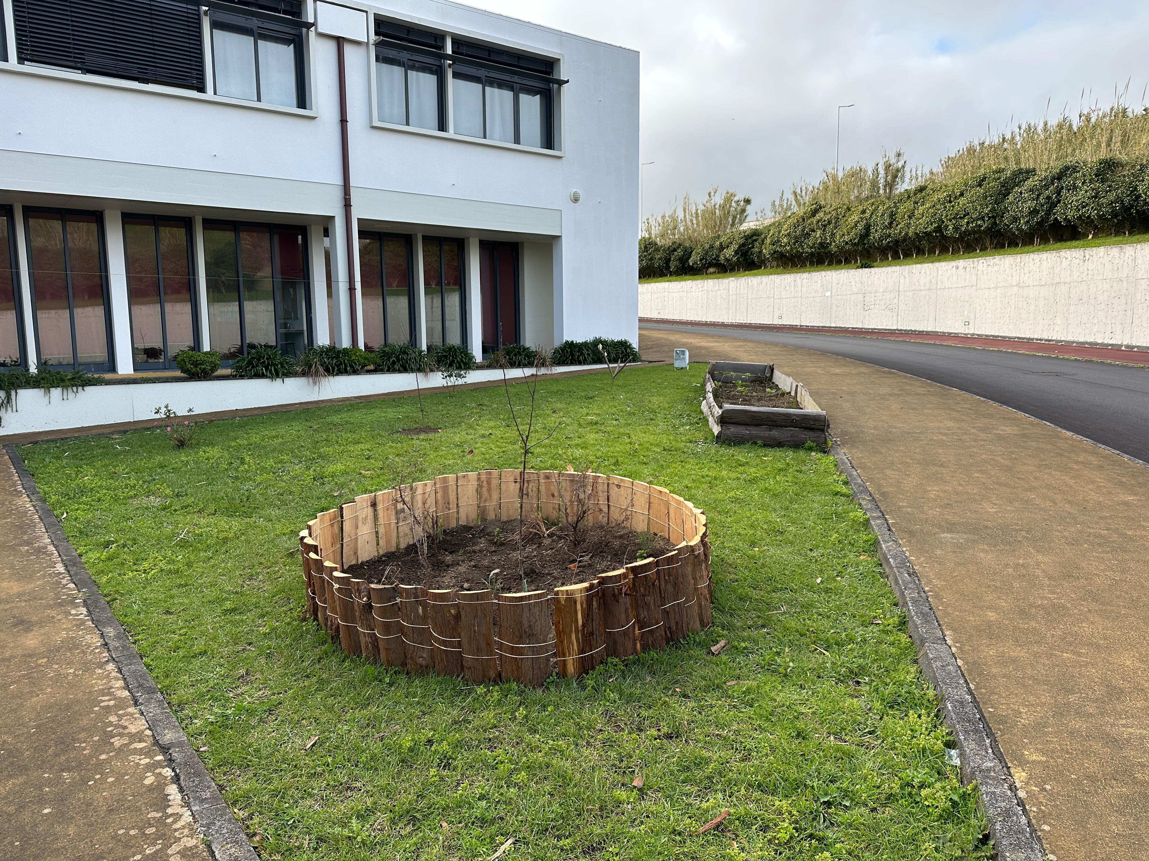 A construção da nossa horta