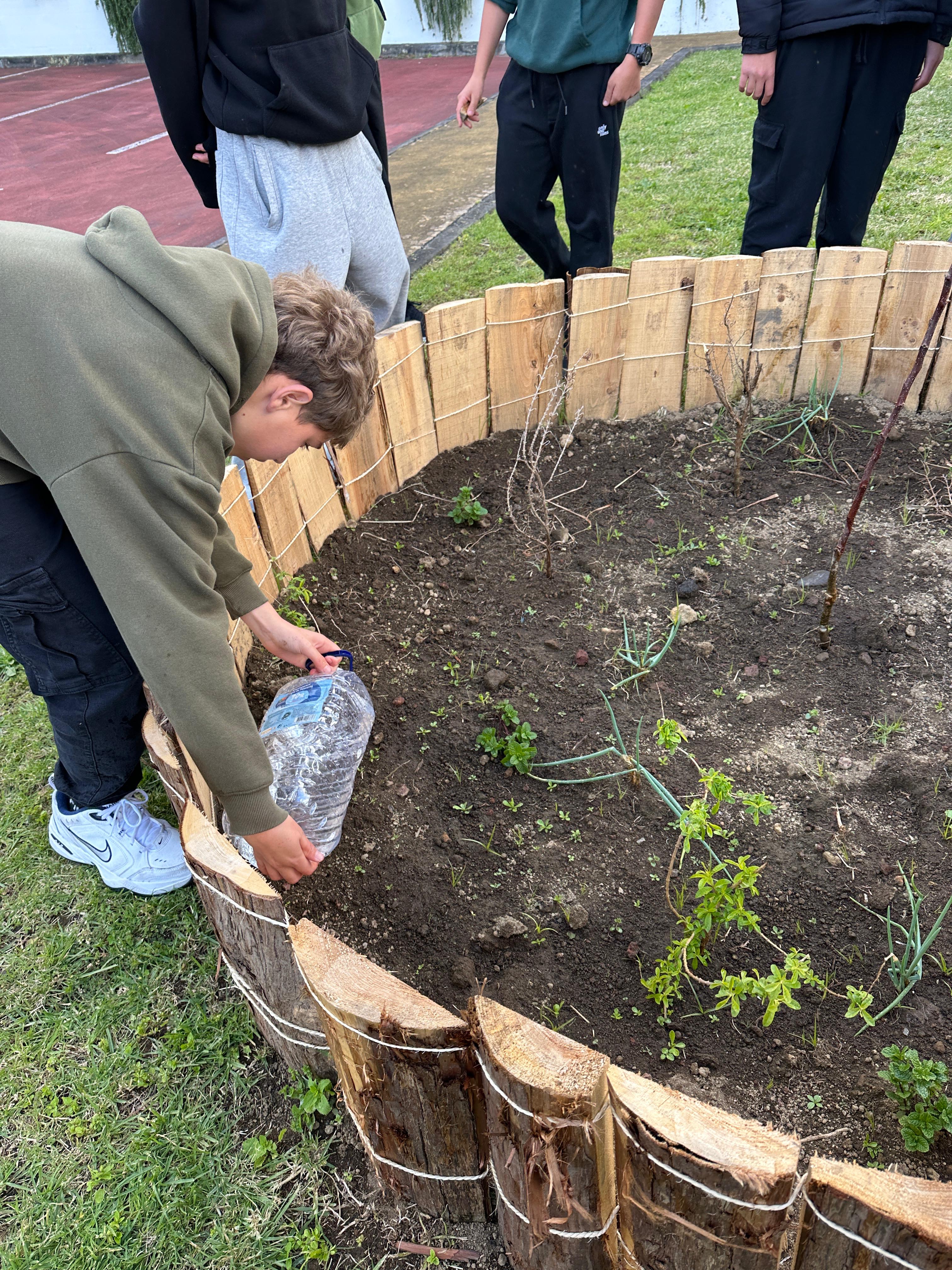 Sem água não temos colheita