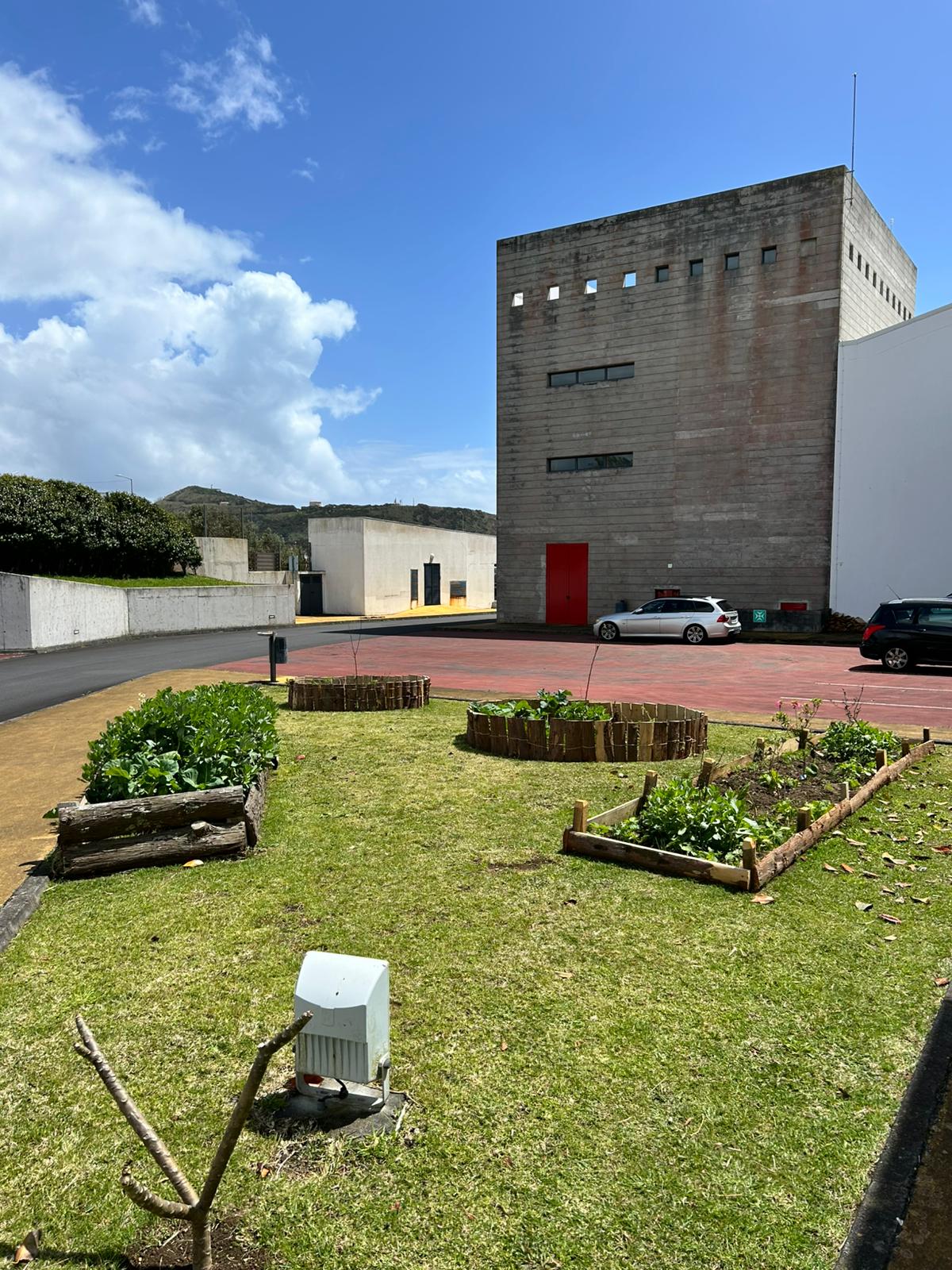 Vista geral dos canteiros geridos por vários alunos, professores e funcionários.
