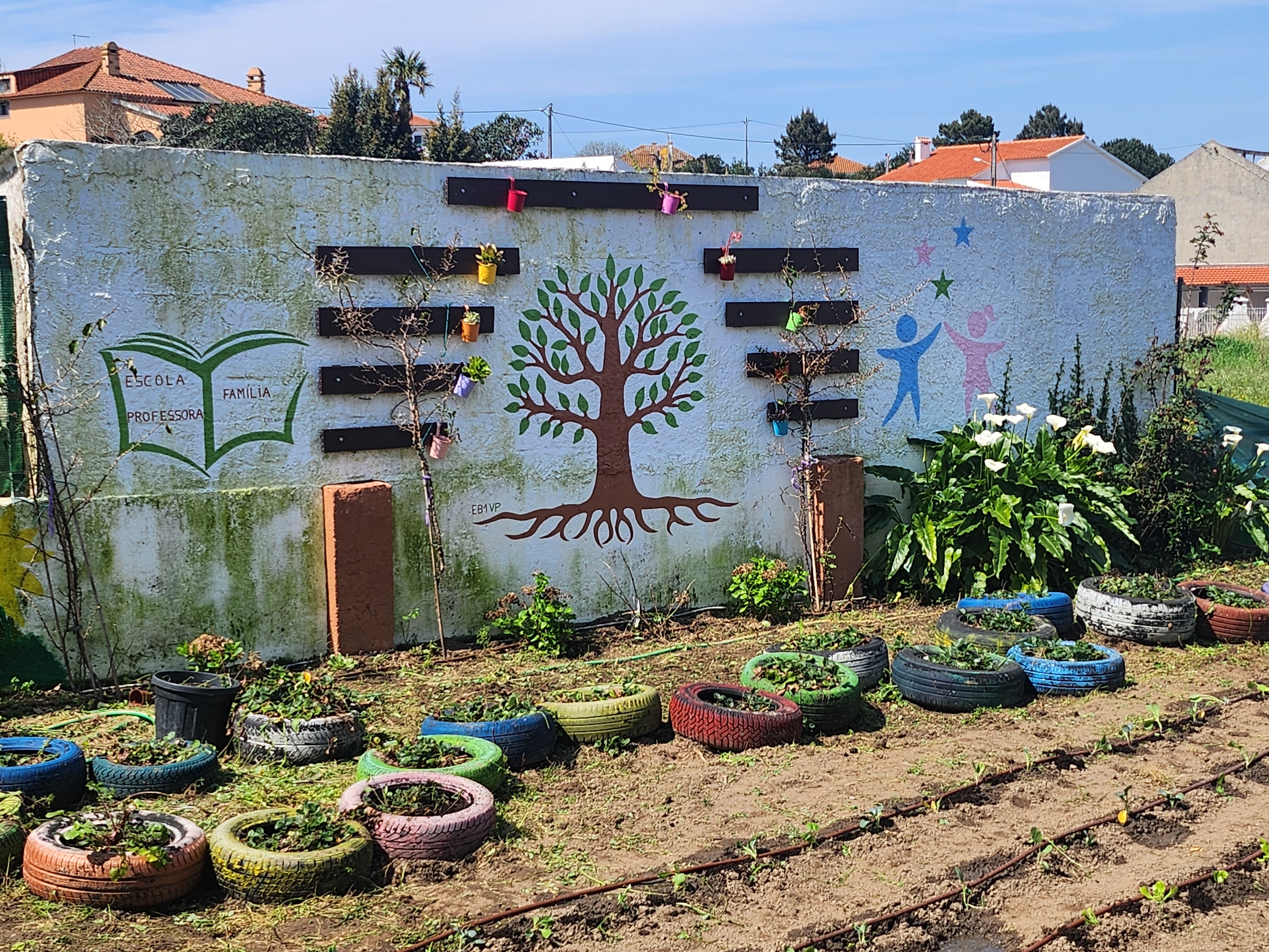 Buganvílias podadas.