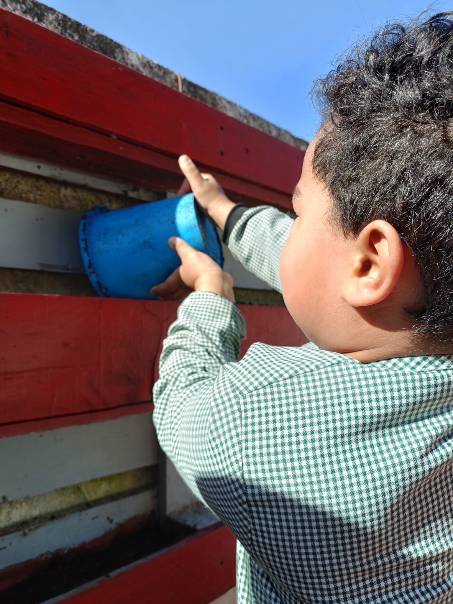 Adicionamos terra nova à existente