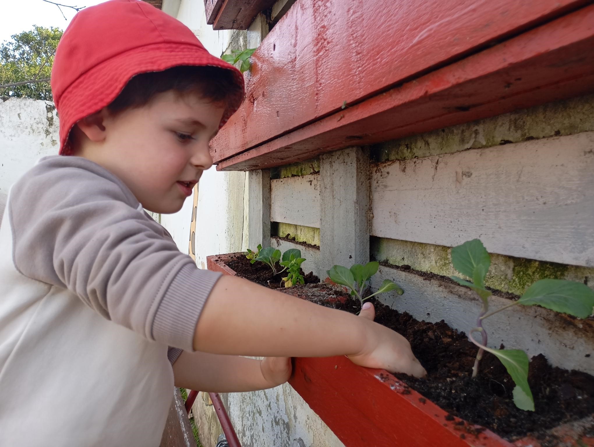 Plantamos as nossas ervas