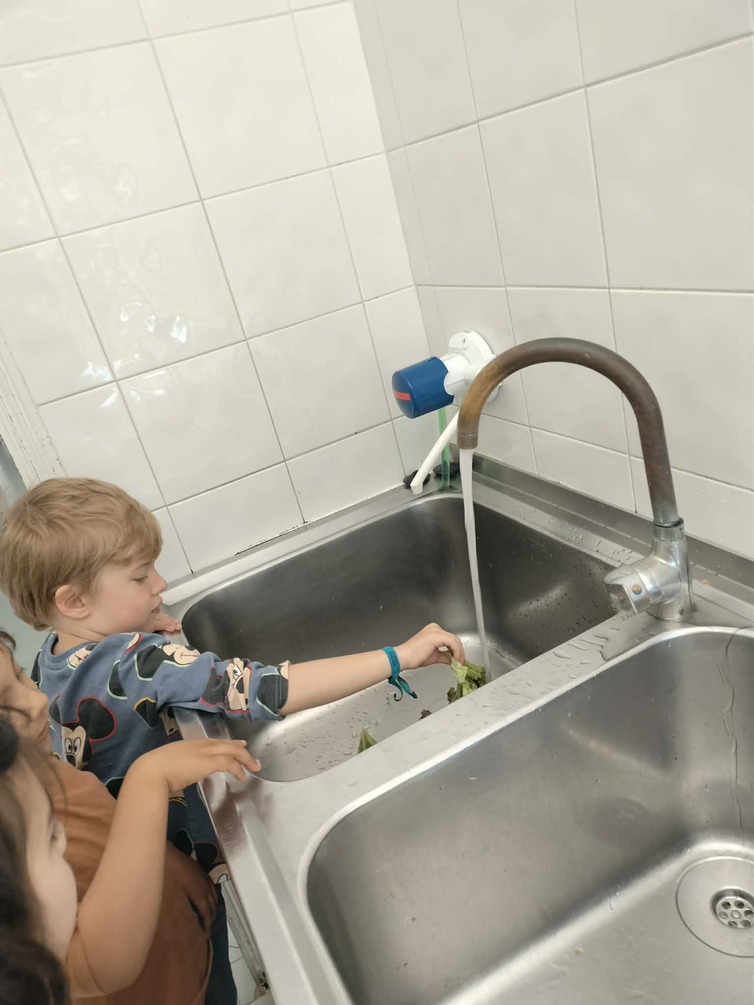 Lavamos muito bem as alfaces...