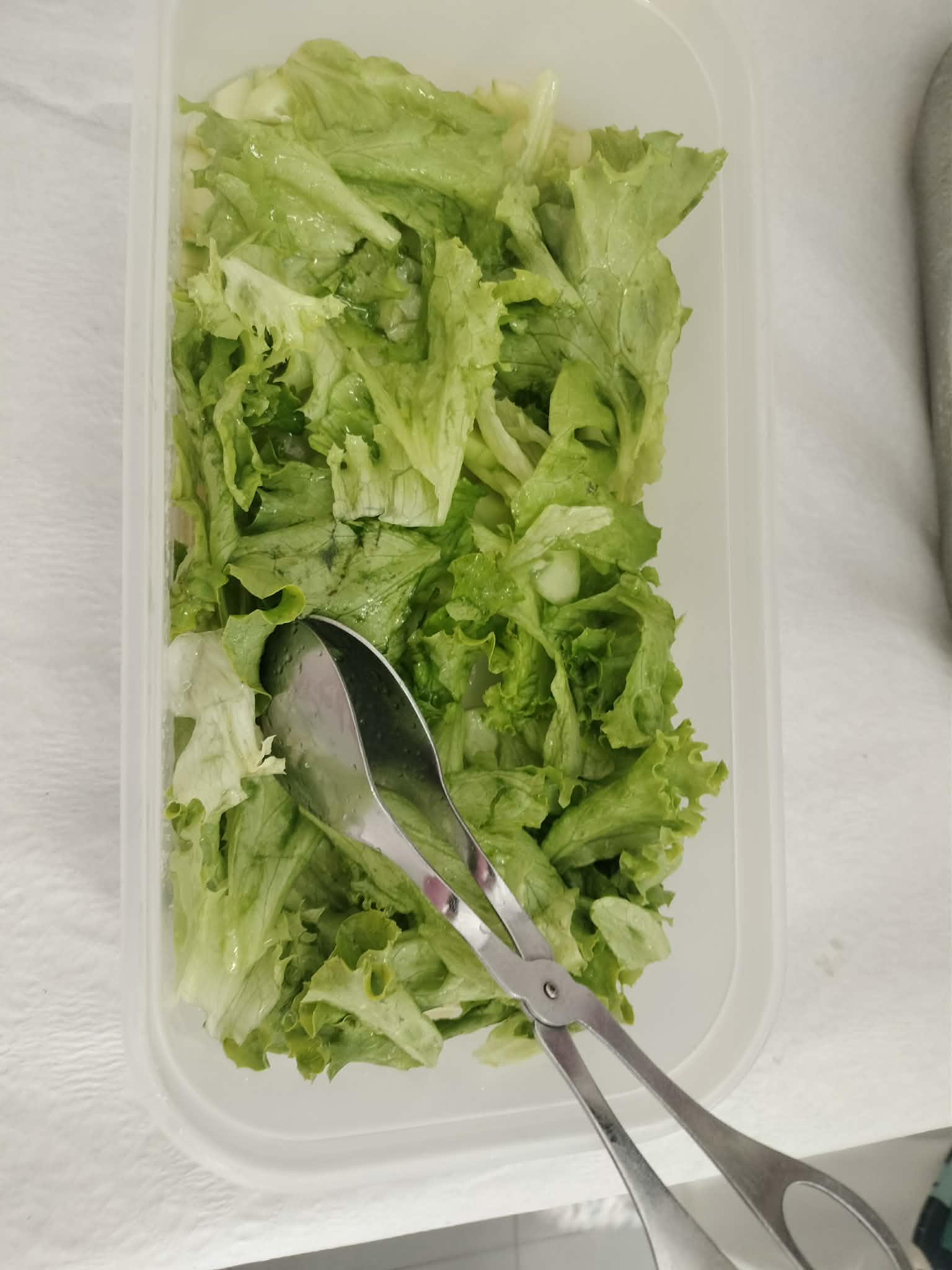 E na hora da refeição foi só saborear: uma salada fresquinha sem produtos químicos!!!