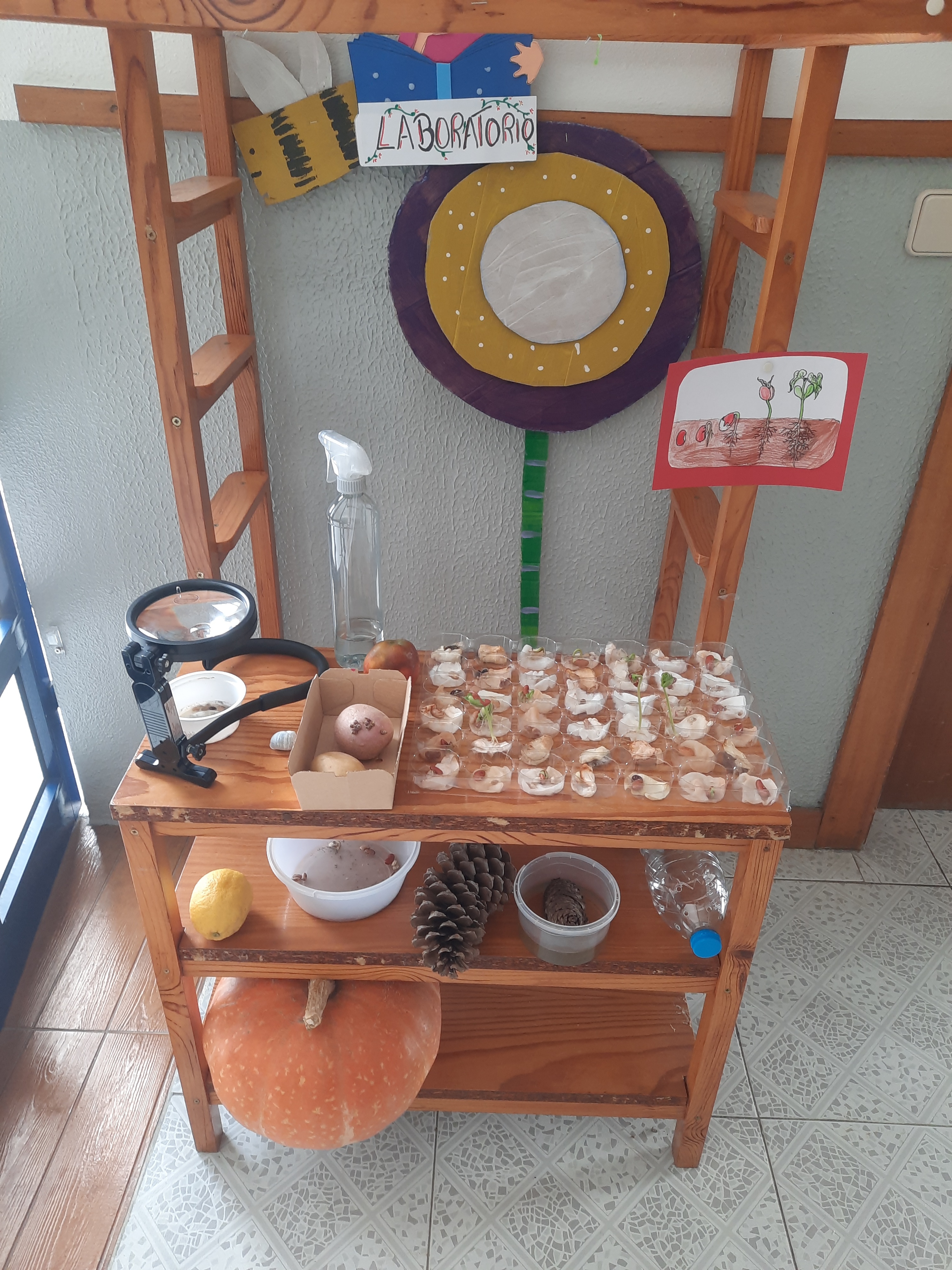 Laboratório de experiências
Realizamos experiências com sementes, observamos o seu crescimento, a incidência da luz e a necessidade de água.
