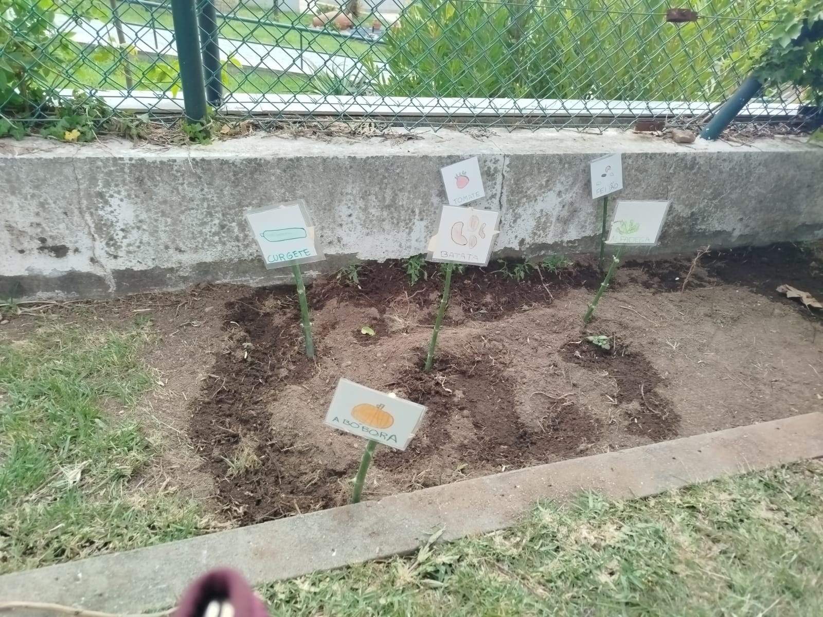 Crescimento das plantas.