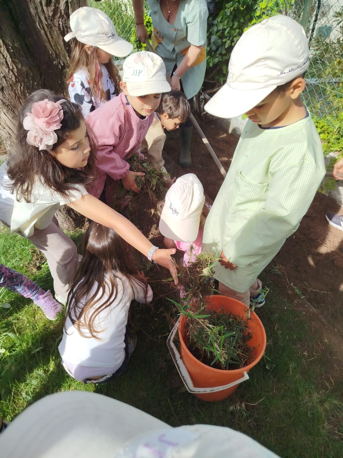 Preparar o terreno para a plantação.