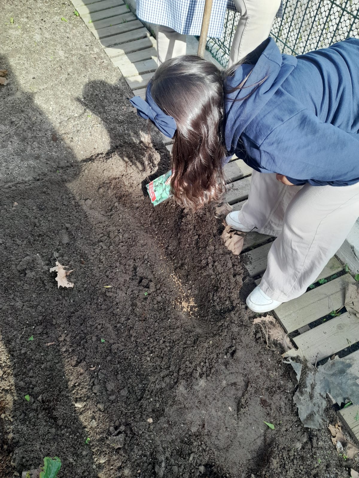 Início da plantação.