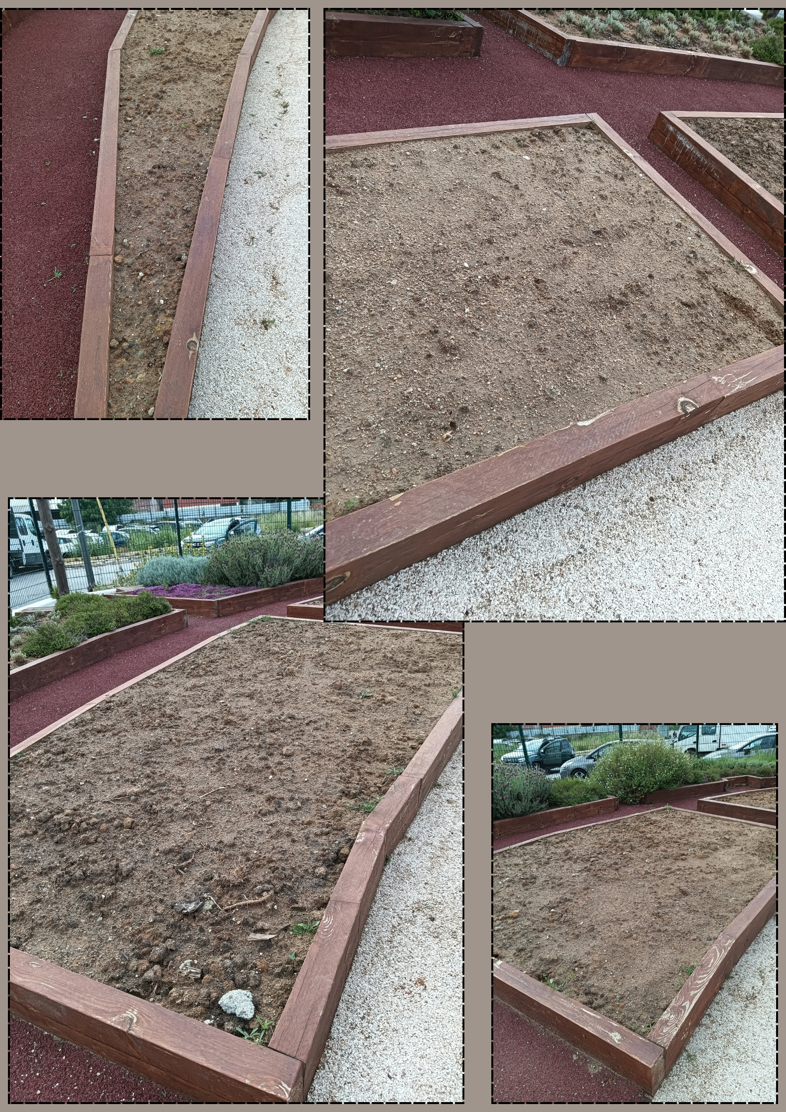 Limpeza do terreno com a colaboração da Junta de Freguesia de Santa Clara.