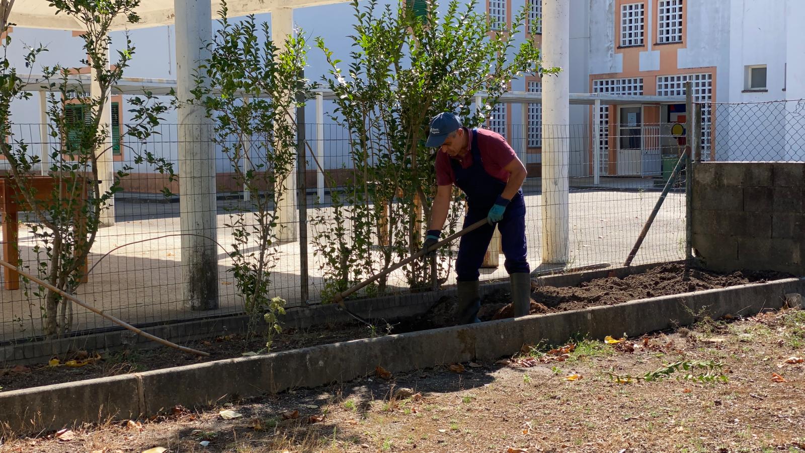 Preparar o terreno para plantação.