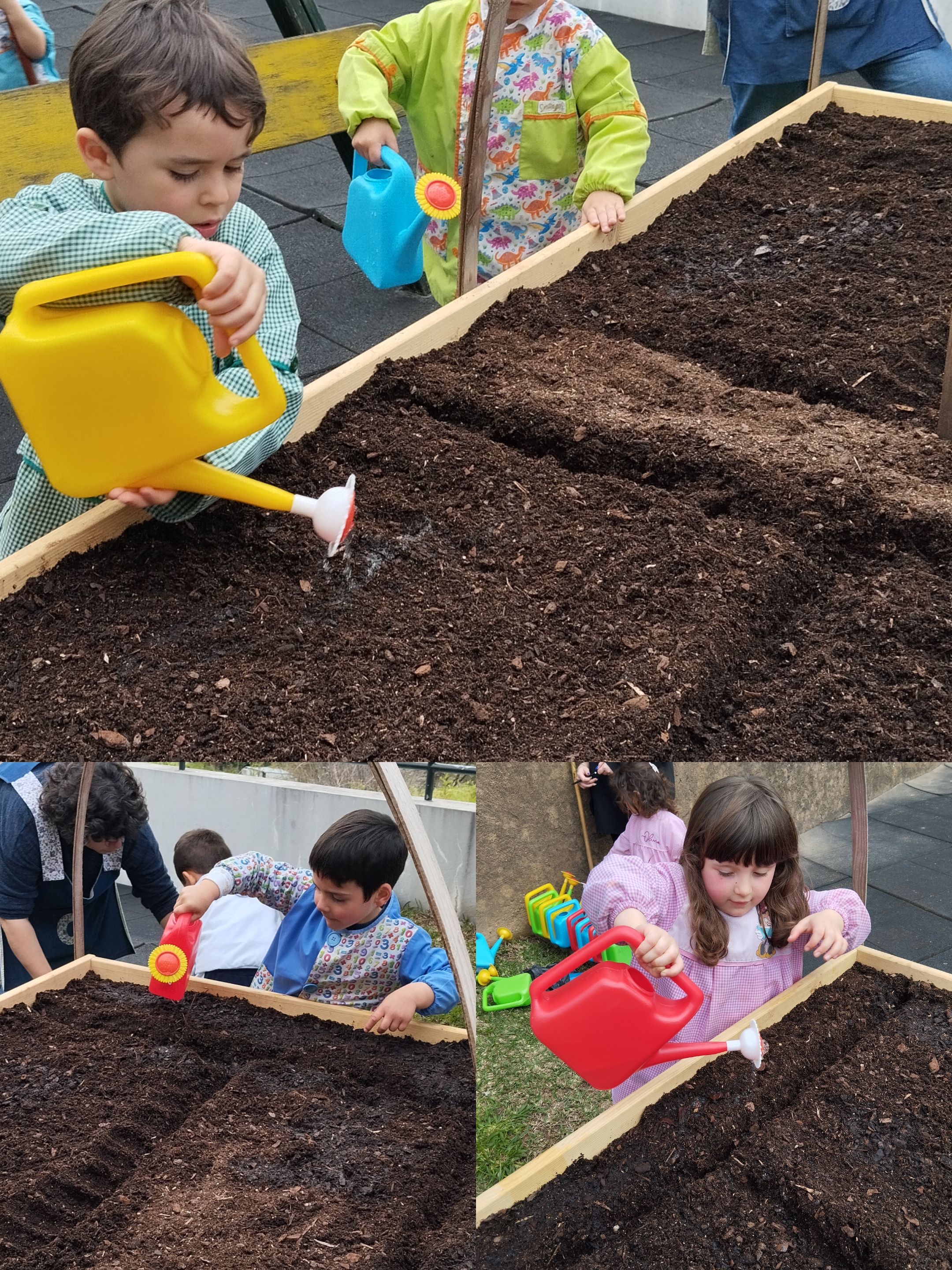 1ª Etapa- preparação da terra para receber as plantas