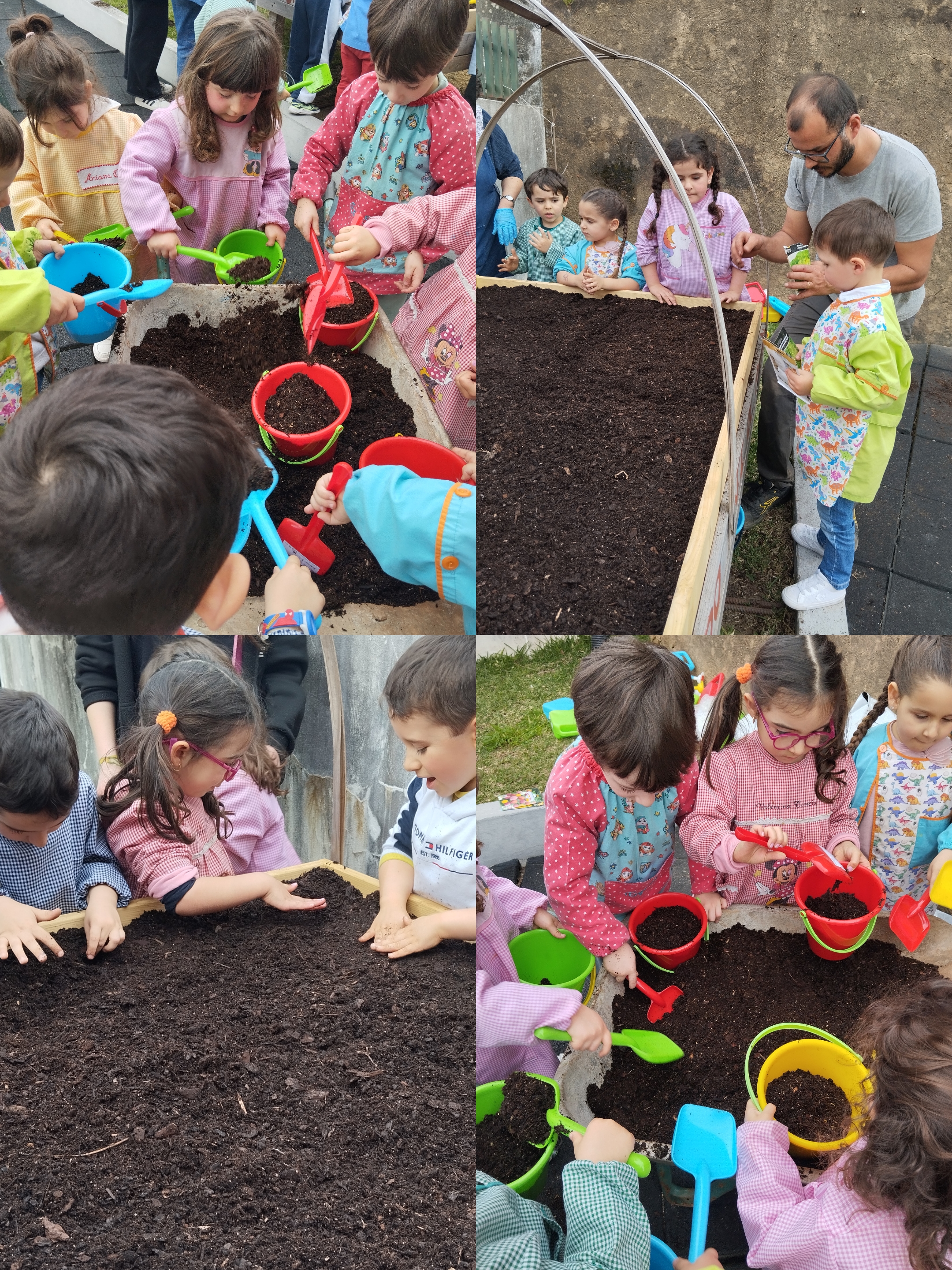 Sementeira de diversas plantas