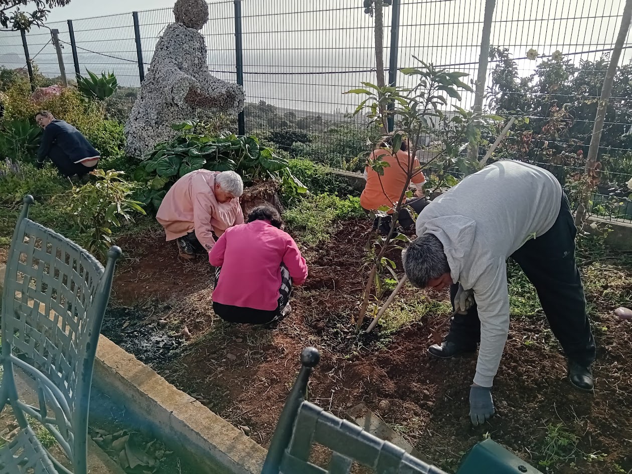 Limpeza da horta, consiste em arrancar as ervas e recolha das folhagem.