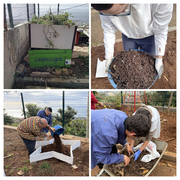 Colocação de composto e adubo de cabra na terra.