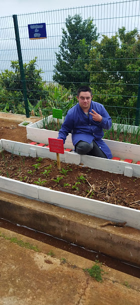 Colocação das placas de identificação dos produtos existentes na horta.