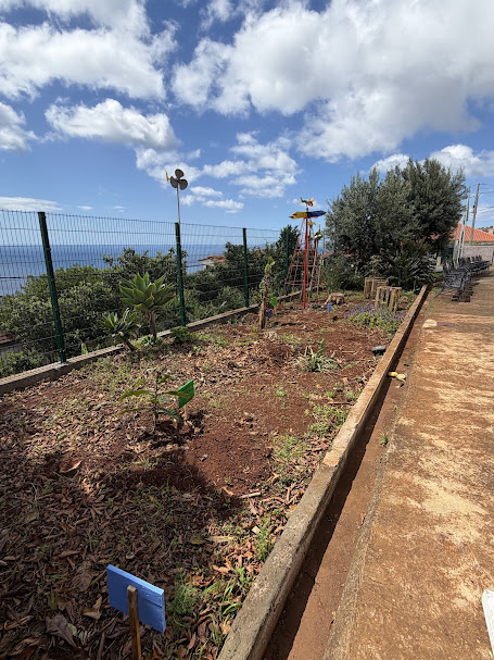 Horta atualmente