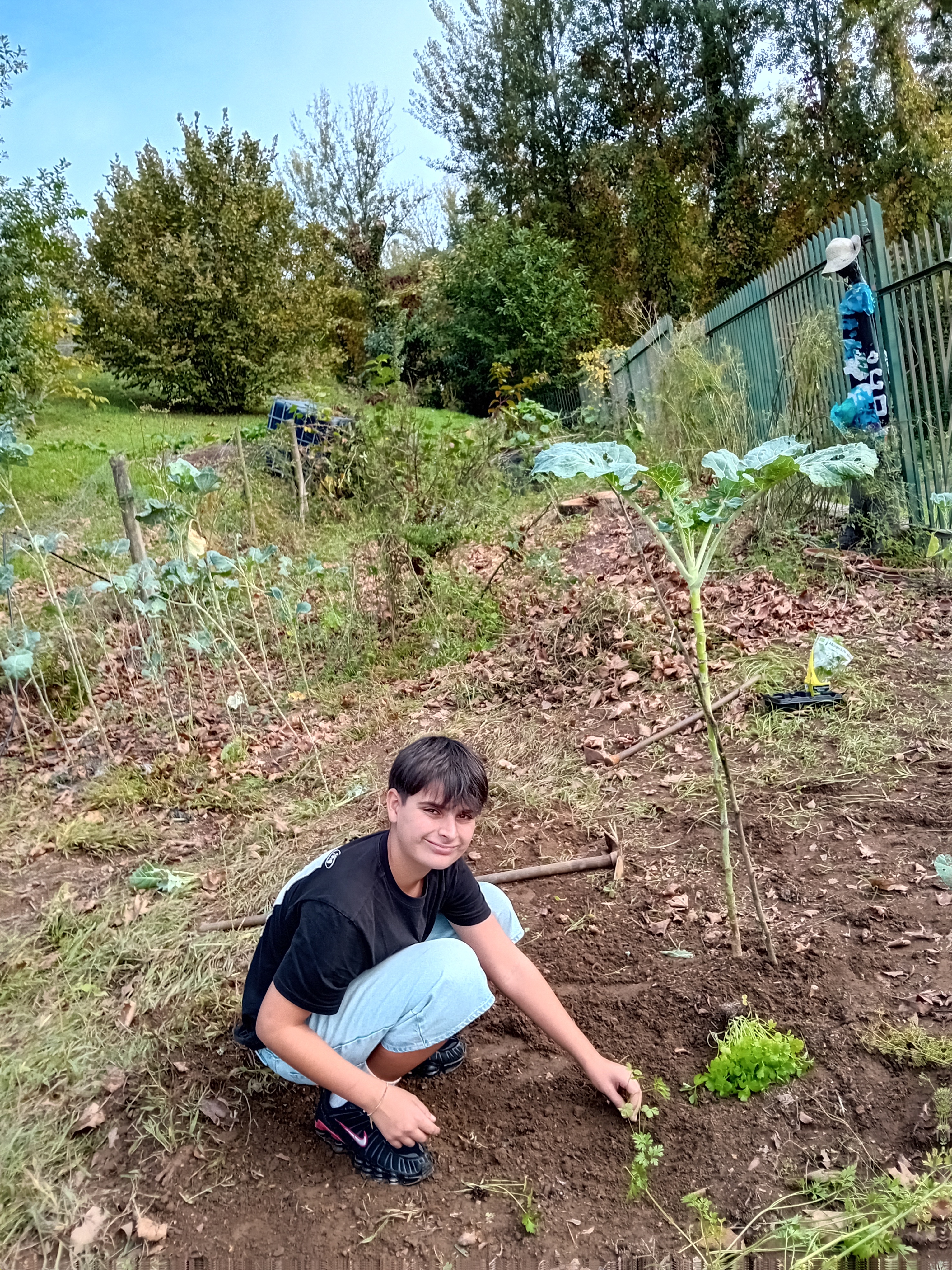 Primeiros trabalhos na horta. Limpeza e plantação pelos alunos do Clube de Hortofloricultura.