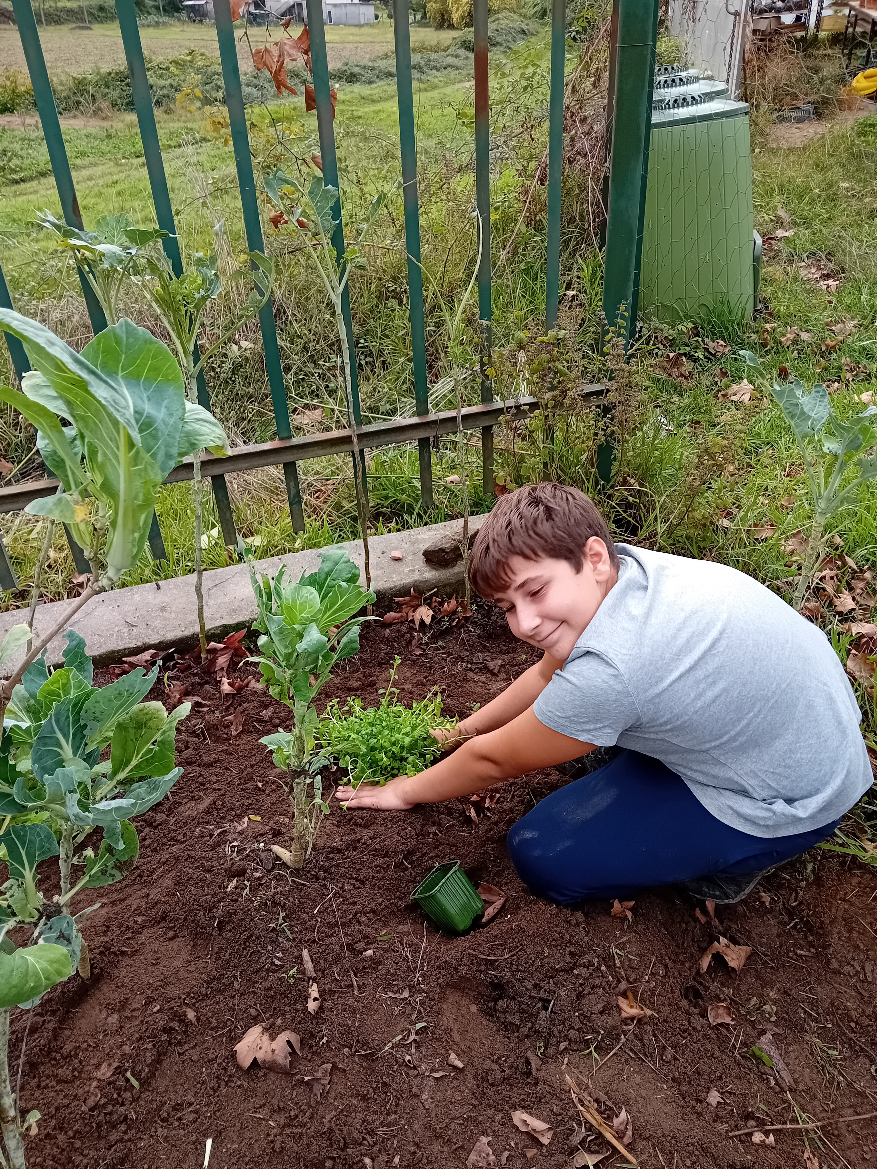 Plantação de diversas plantas aromáticas com ação repelente de pragas.