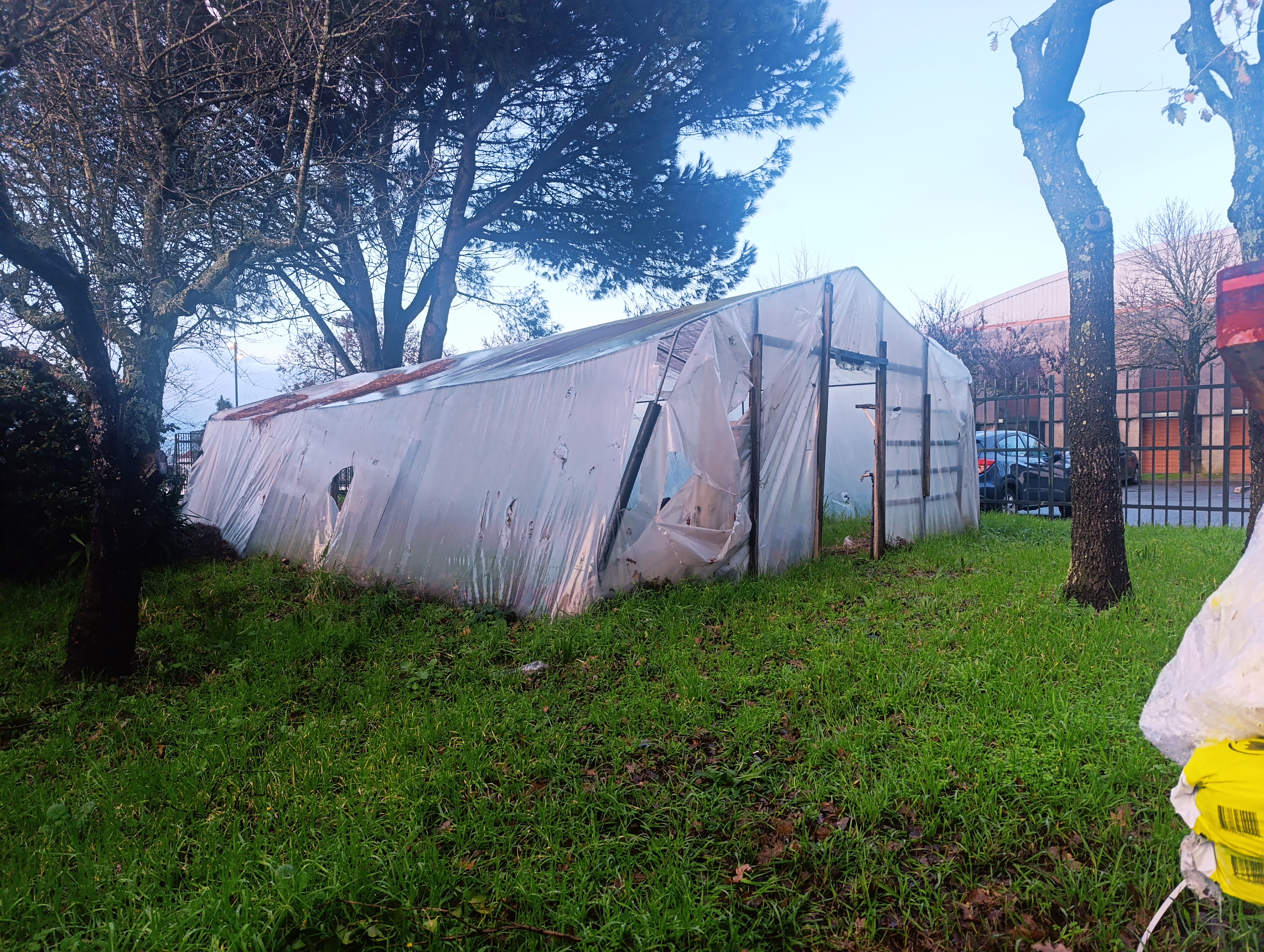 Estado inicial da estufa/horta.