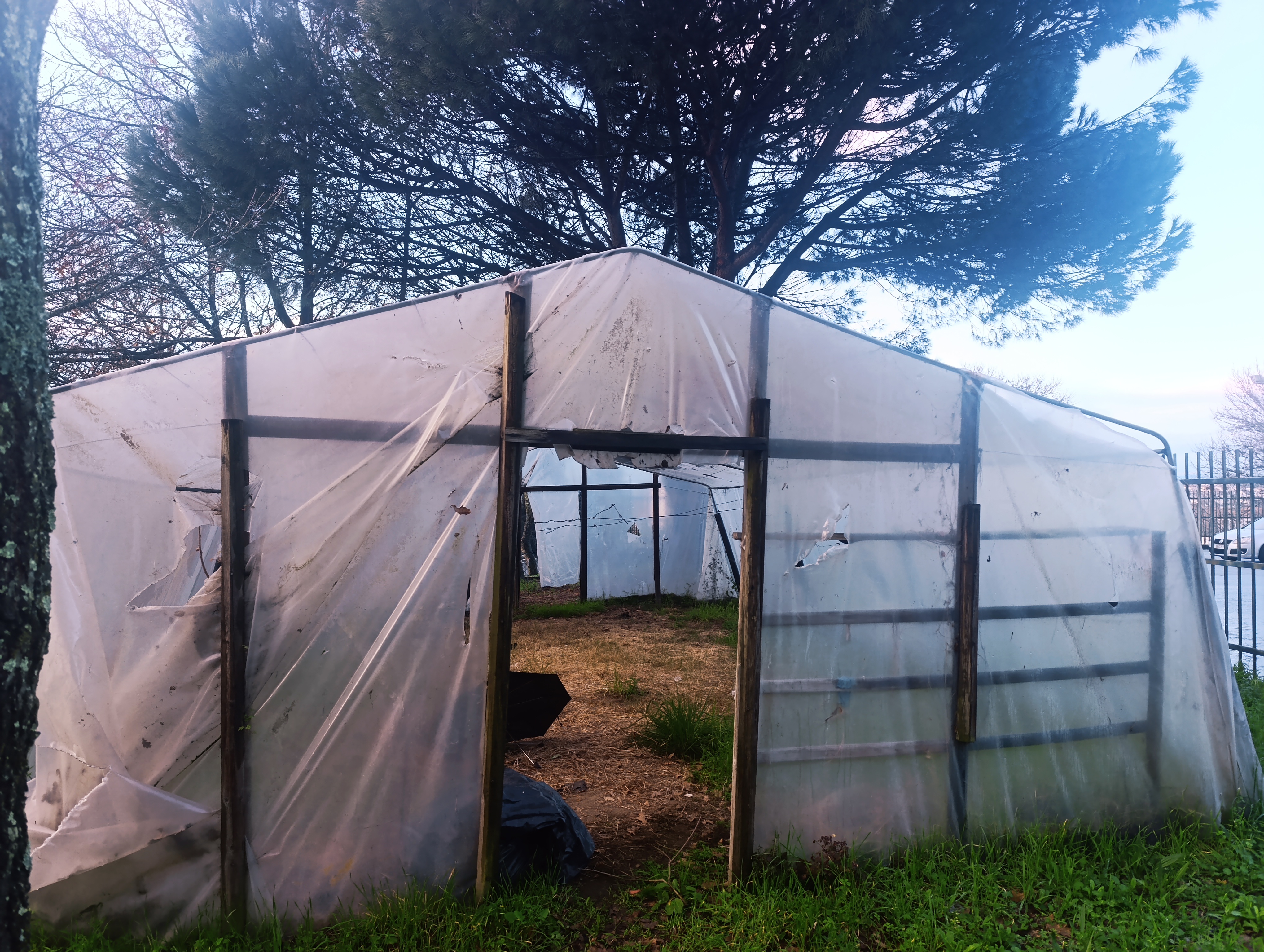 Estado inicial da estufa/horta.