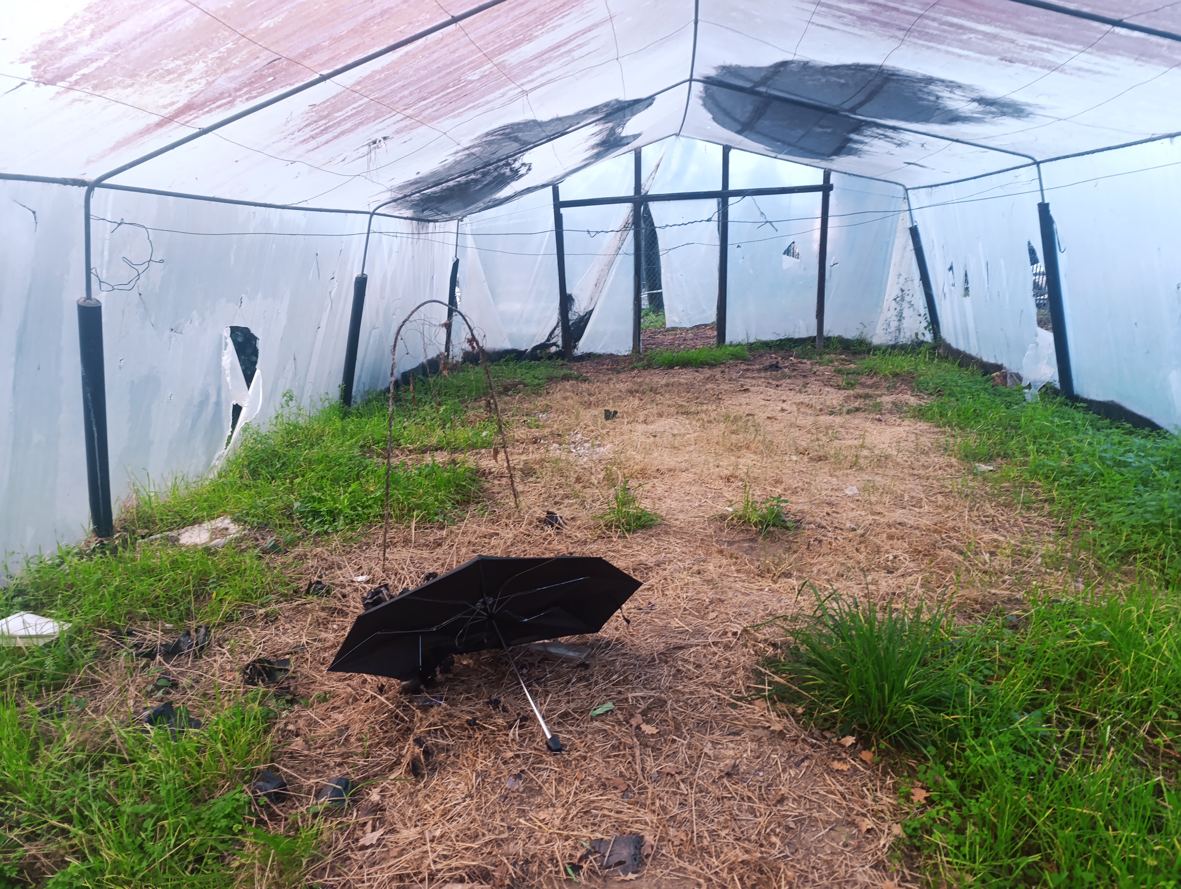 Estado inicial da estufa/horta.