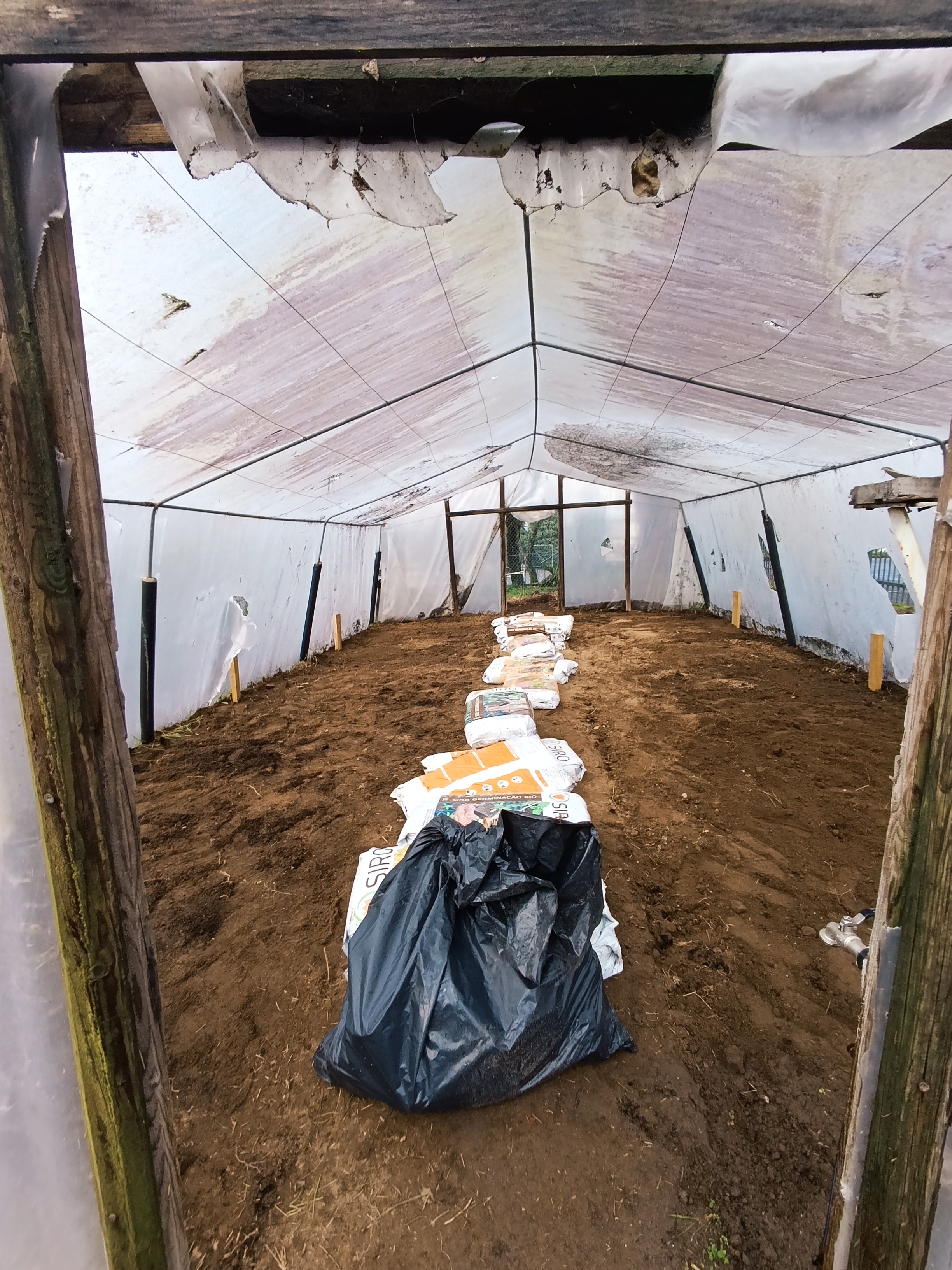 Inicio dos trabalhos de sementeira na estufa/horta.