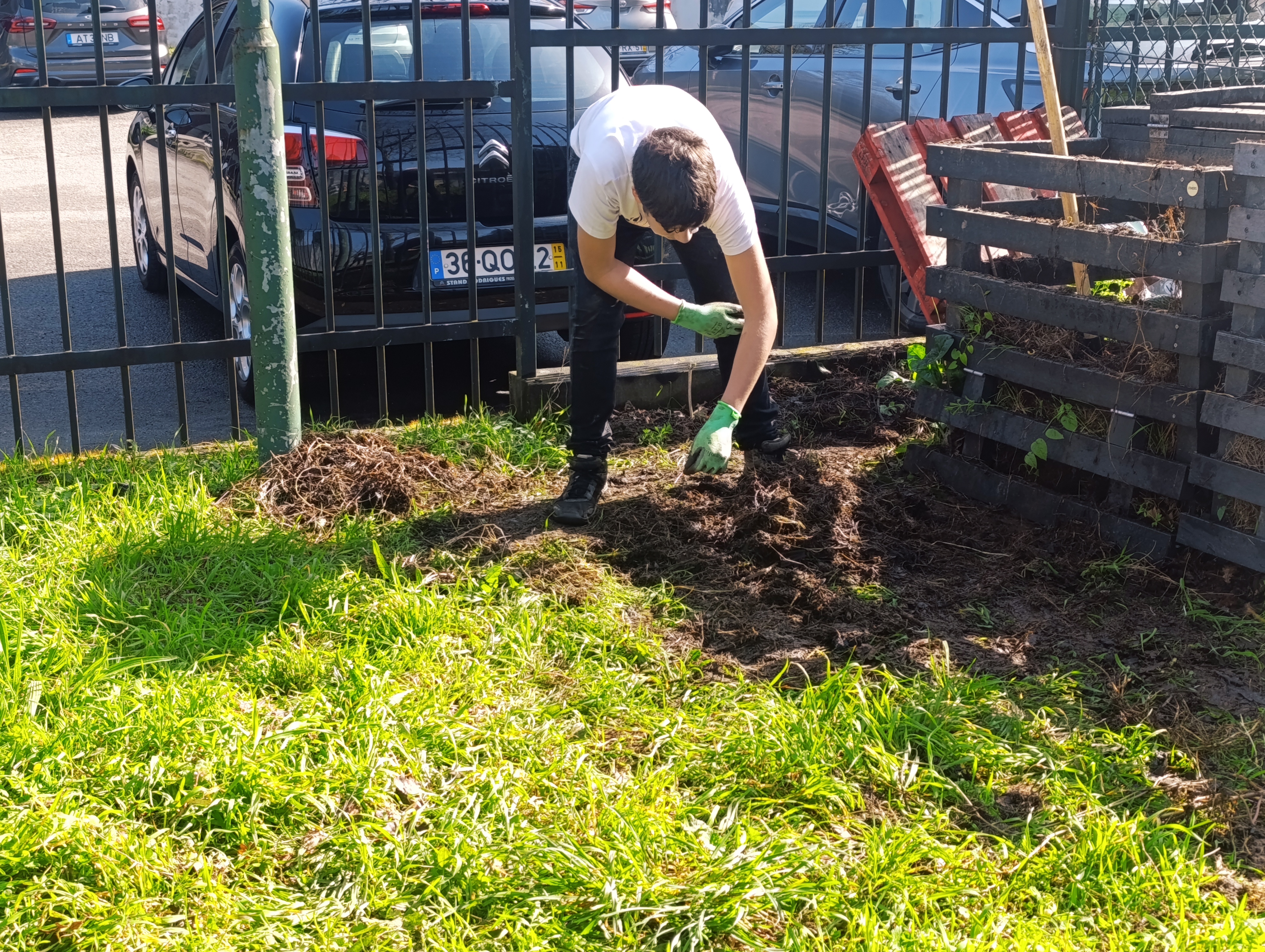 Aproveitamento da compostagem