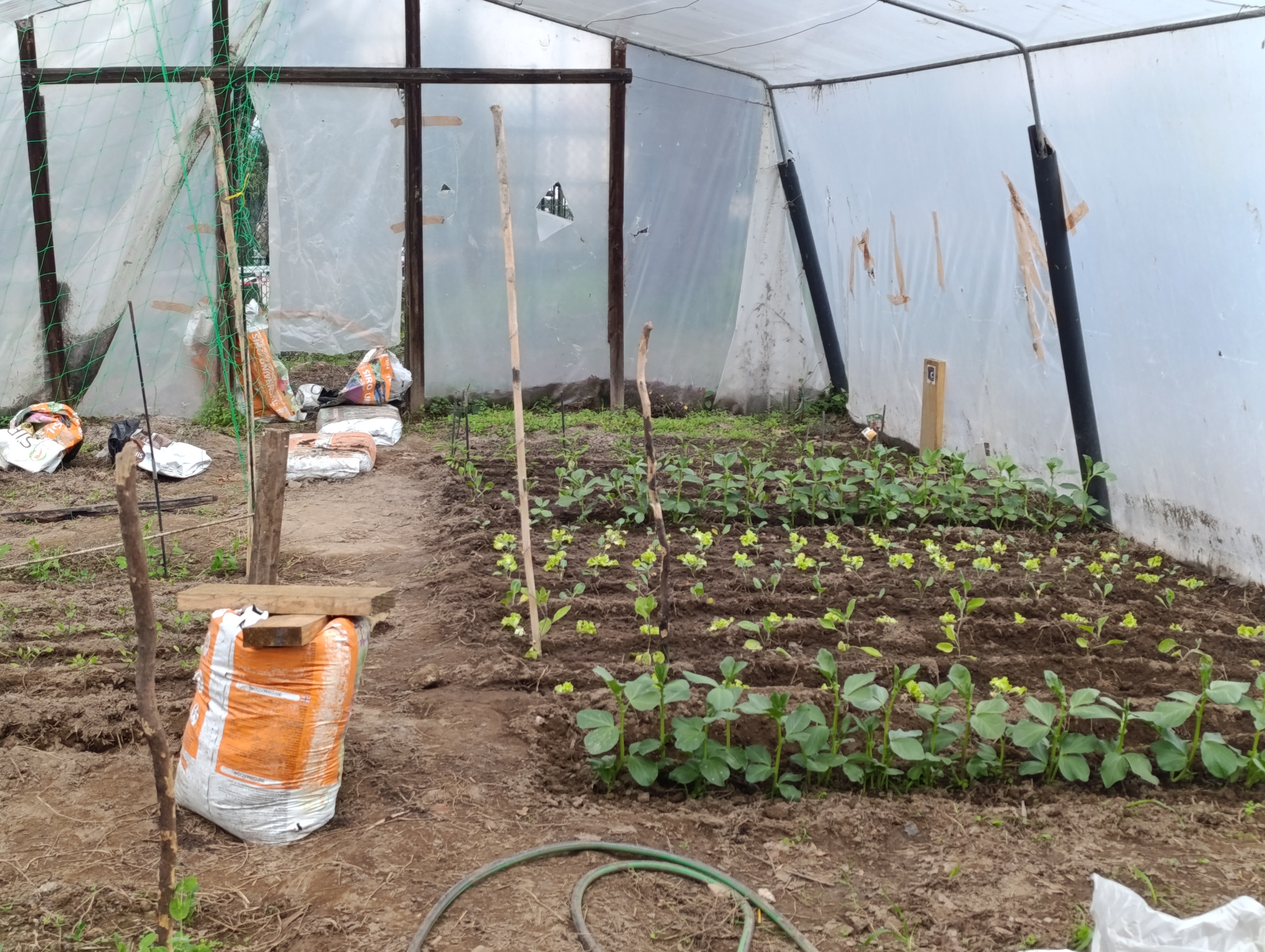 Desenvolvimento da estufa/horta