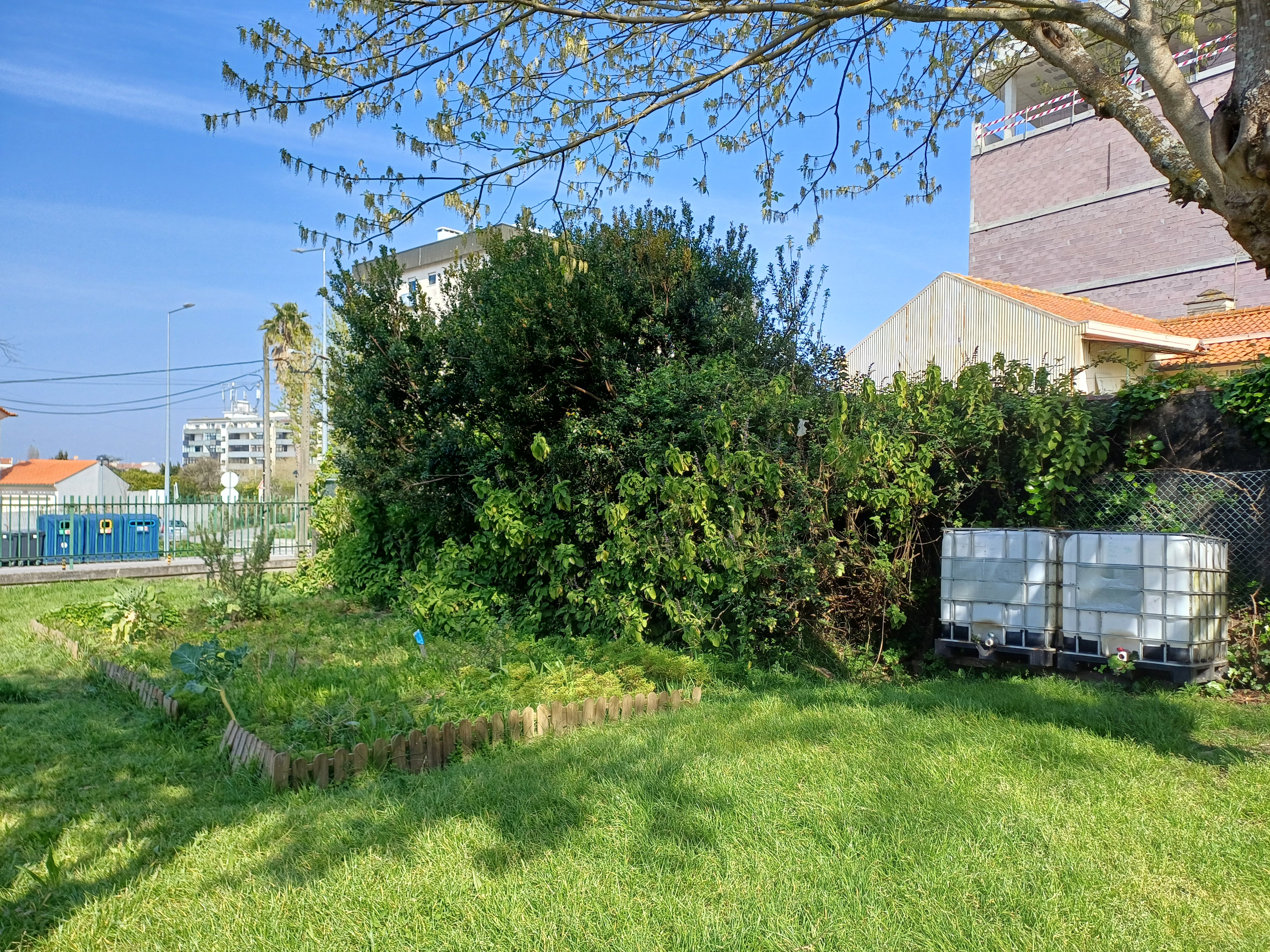 Vista geral do espaço destinado à horta BIO, sem mobilização devido ao excesso de chuva por tempo prolongado (2).