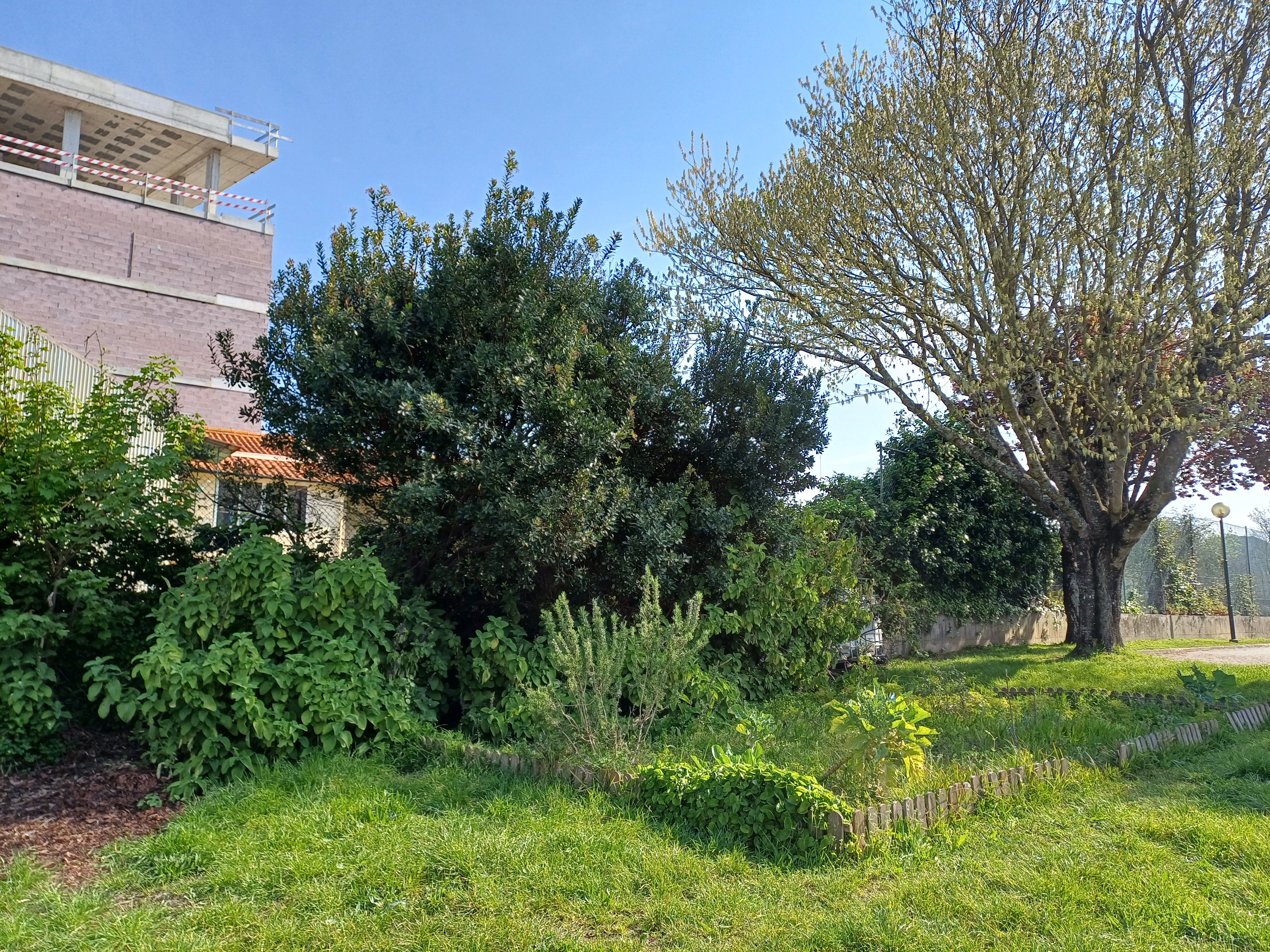 Vista geral do espaço destinado à horta BIO, sem mobilização devido ao excesso de chuva por tempo prolongado (1).