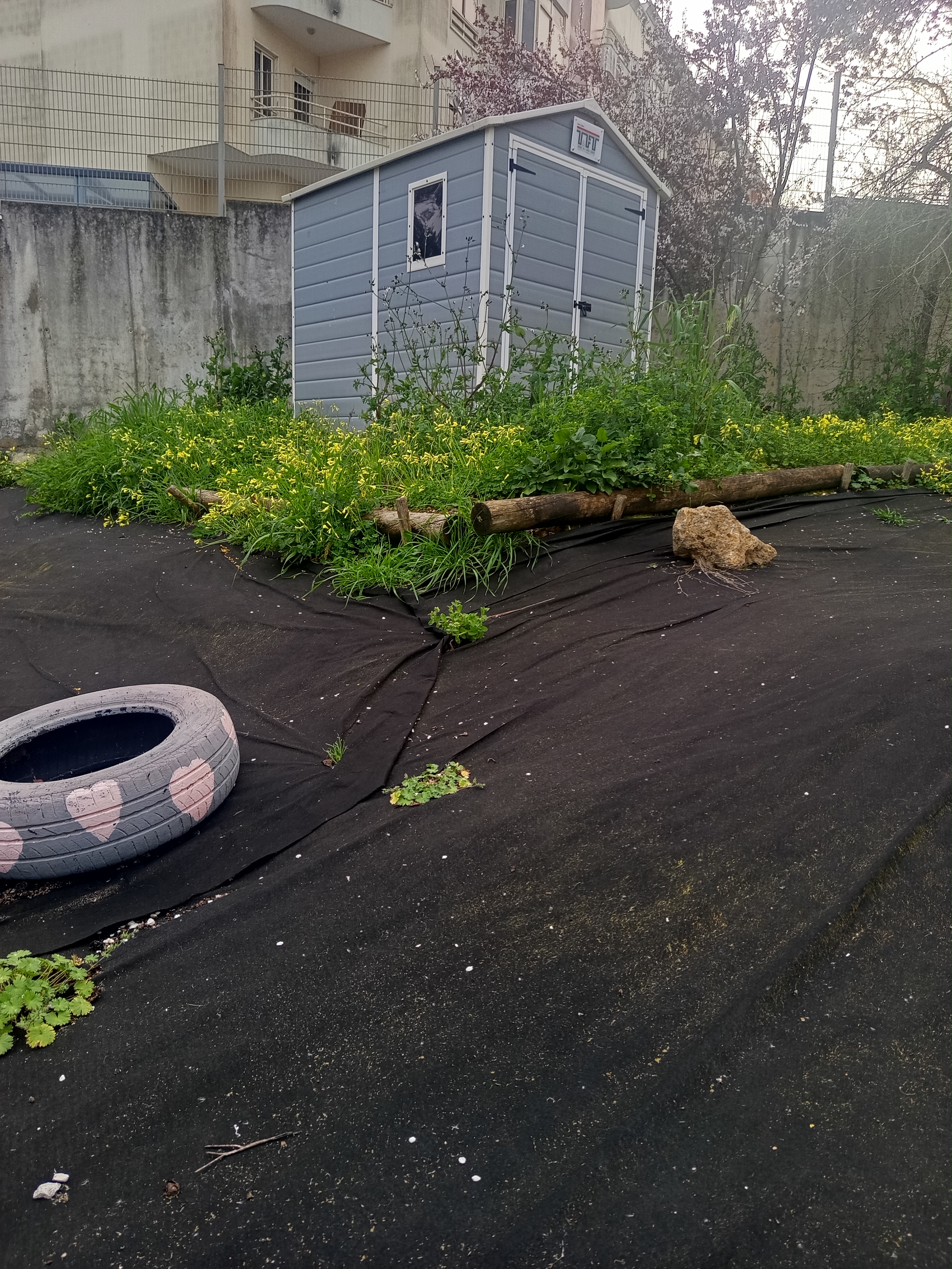 A nossa casinha de livros