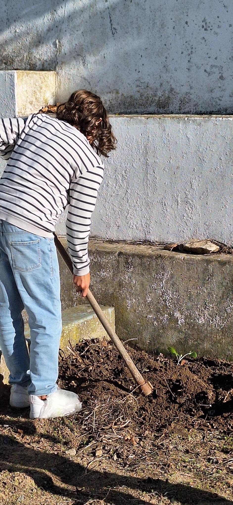 A preparação do terreno foi feita com a enxada por um aluno do 7.º ano.