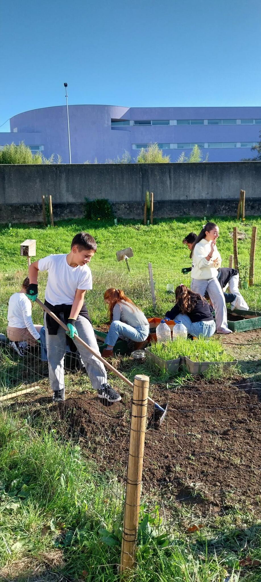 Preparação da terra (1)