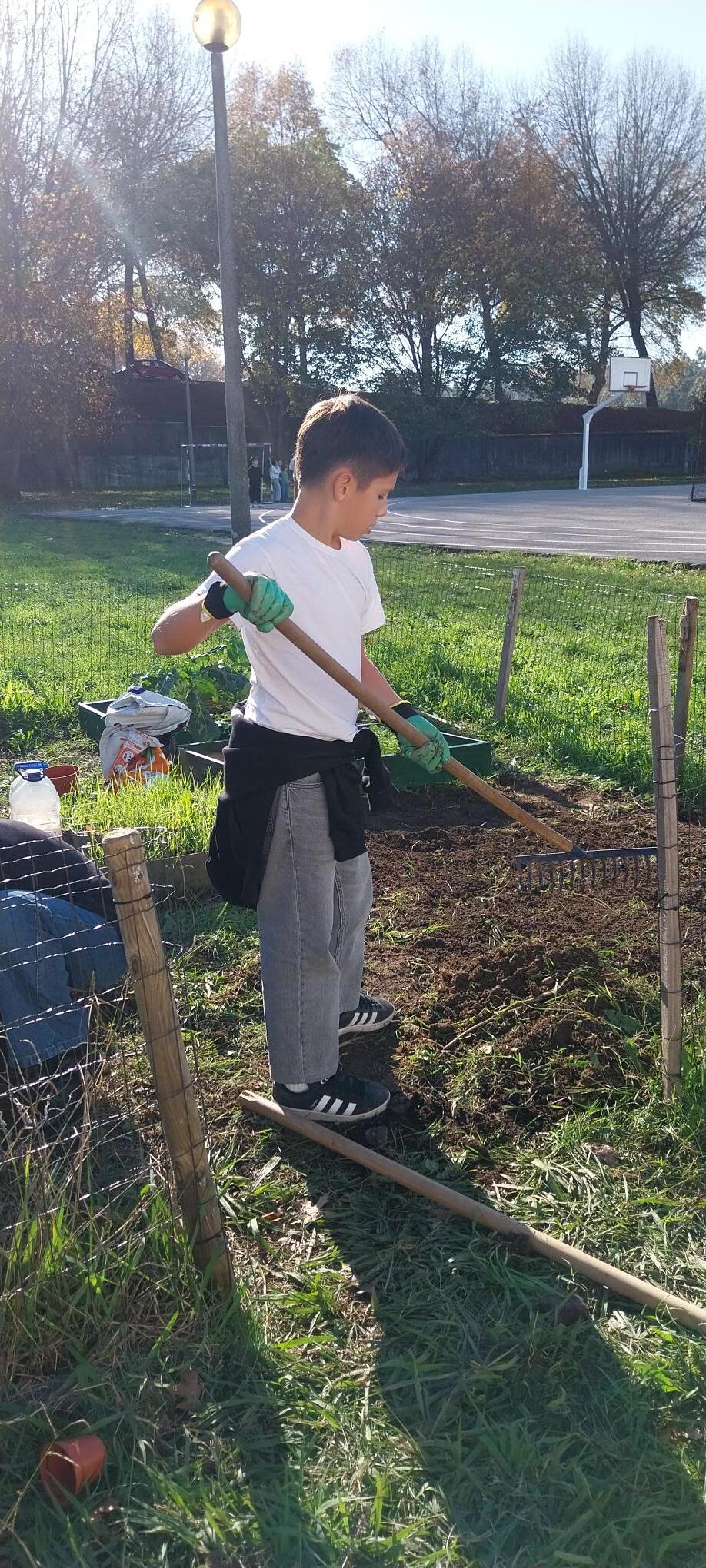 Preparação terra (2)
