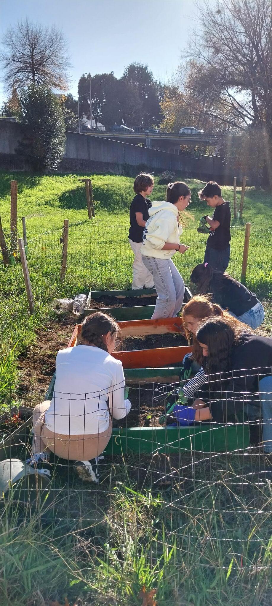 Plantação de hortícolas e ervas aromáticas