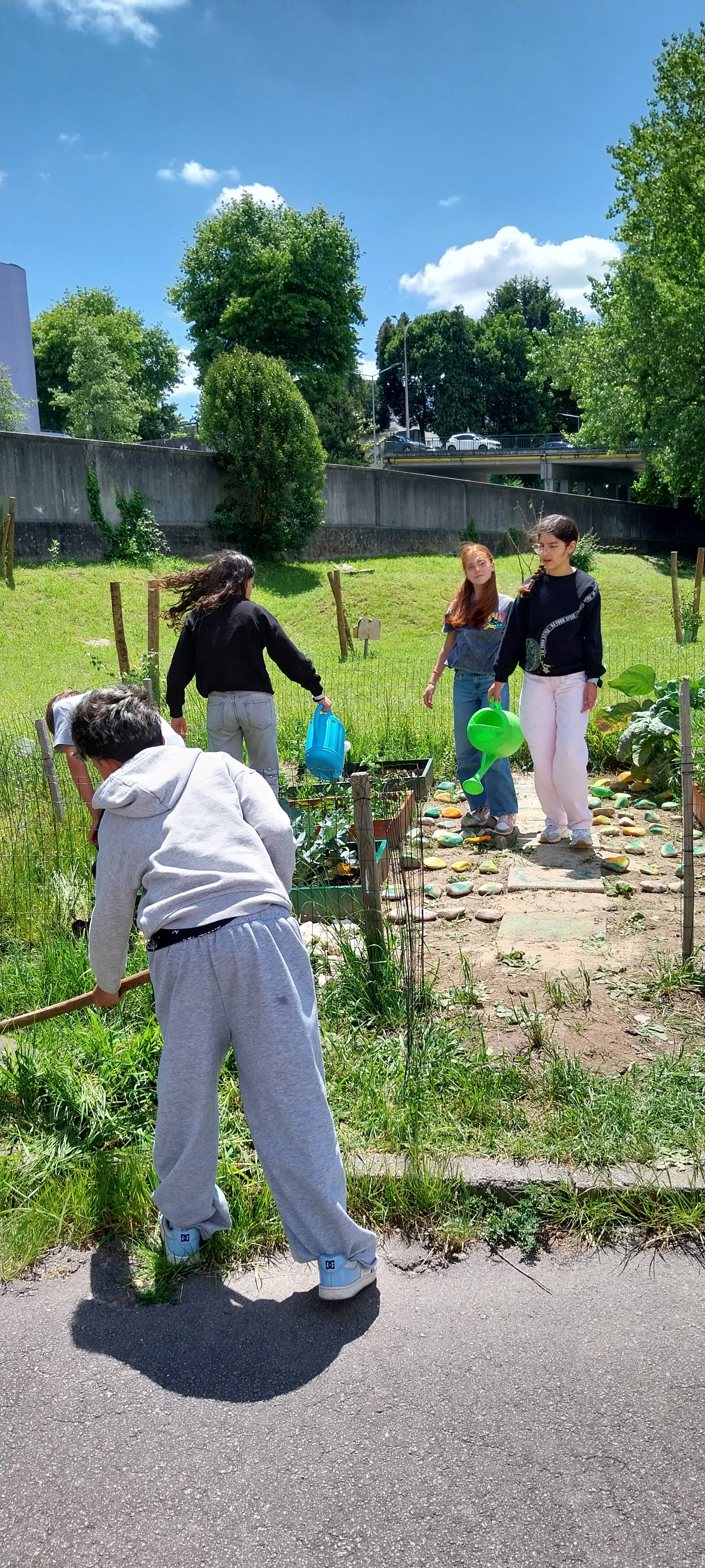Mãos na terra, olhos no futuro! Na nossa horta escolar, aprendemos a cultivar plantas, responsabilidade e trabalho em equipa."