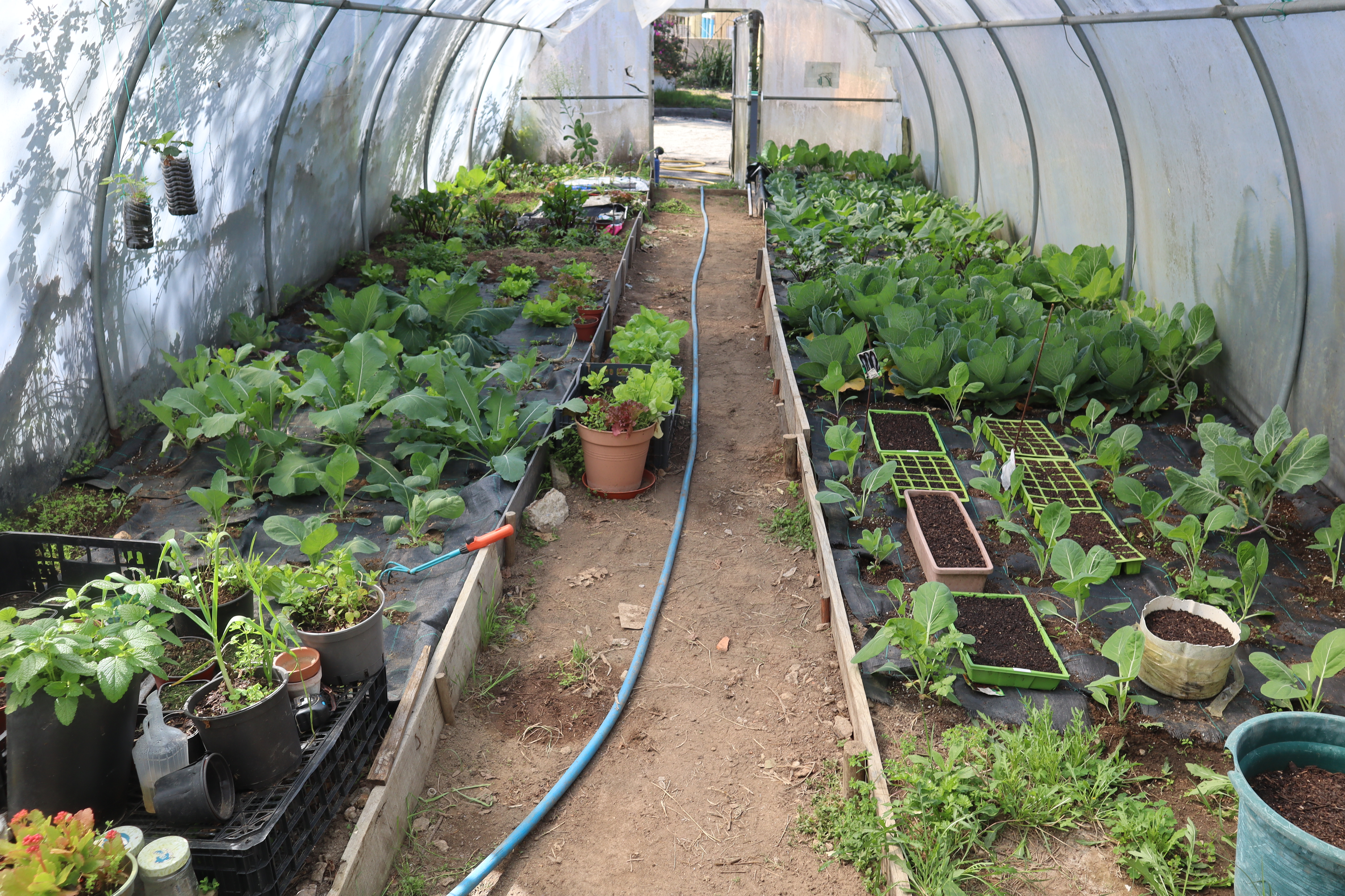 Aspeto a horta em 30-03-2026 onde é visível as várias sementeiras que foram as últimas atividades a serem realizadas.