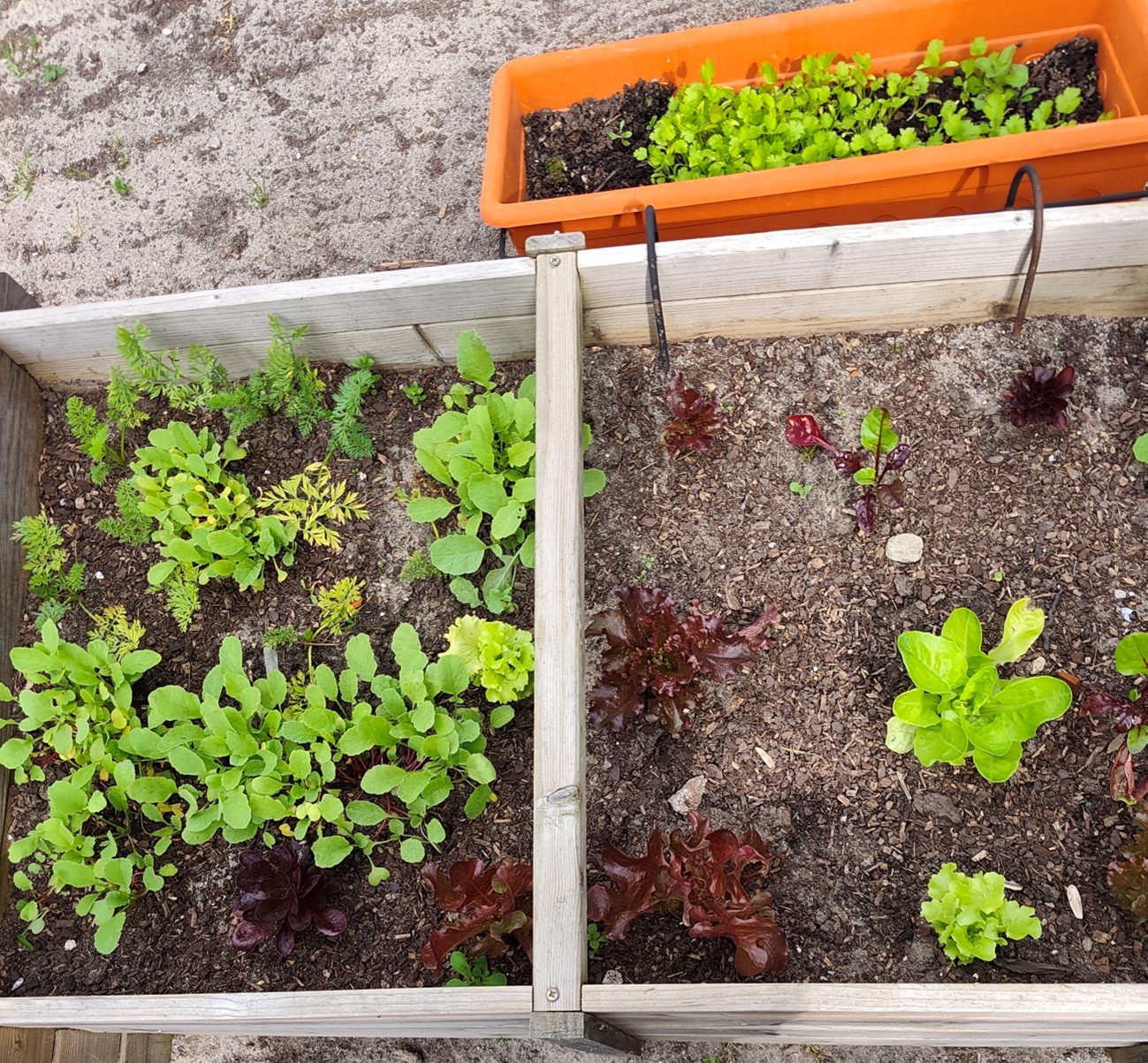 Plantas protegidas