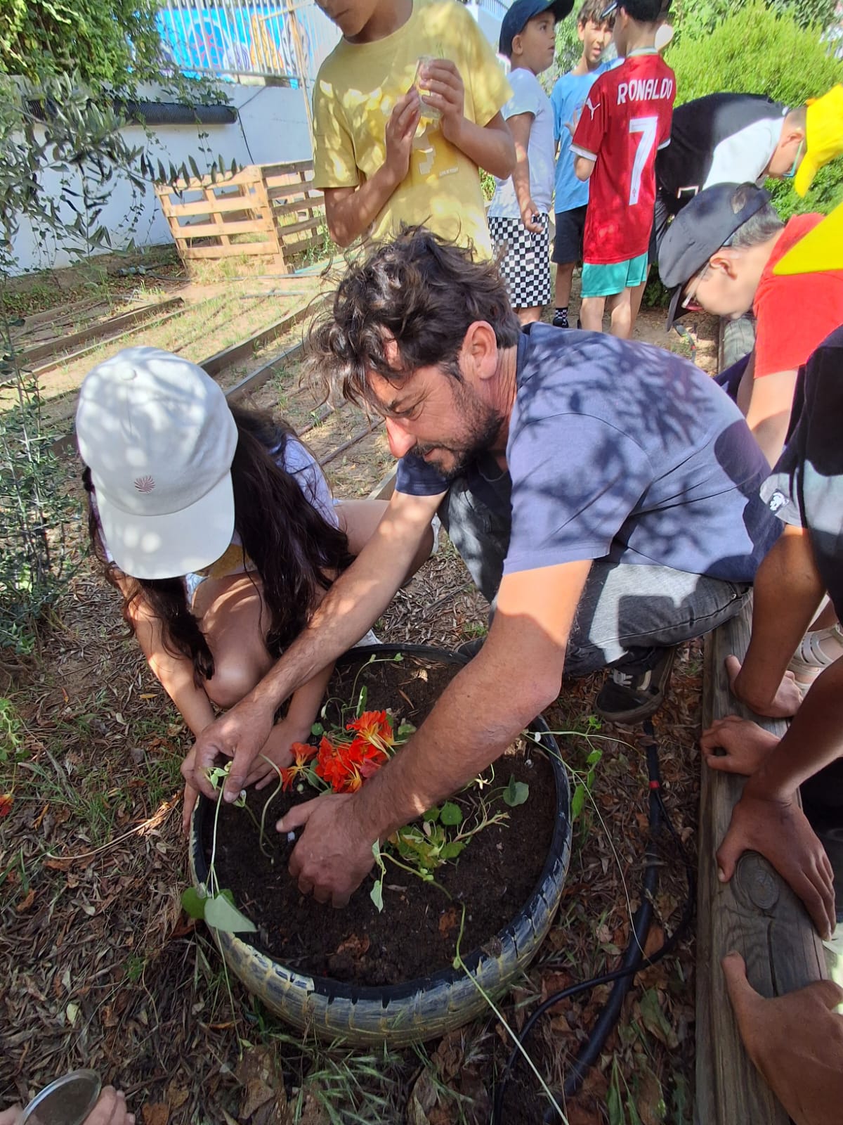 Alunos do 3º B fizeram a germinação das sementes de feijão; quando as plantinhas cresceram fizeram o transplante para a Horta-Bio com ajuda do Hortelão.