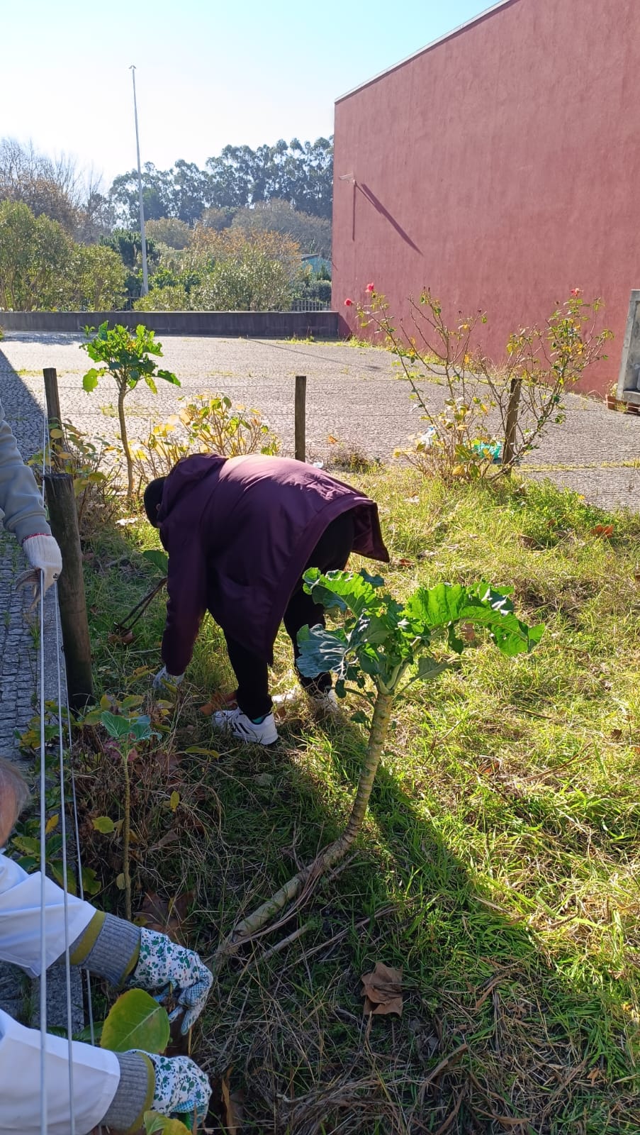 Este ano, trabalhos de limpeza têm sido muito dificultados pelas condições meteorológicas.