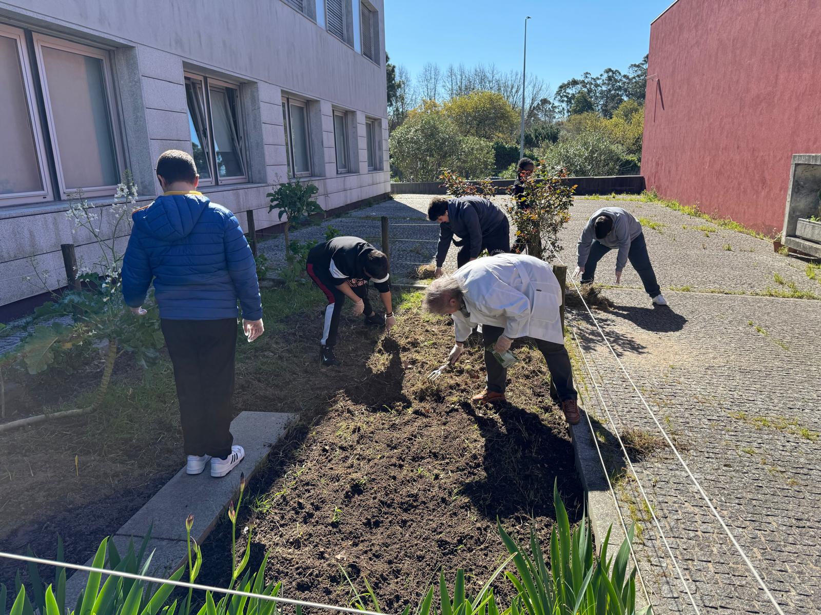 Devido às más condições meteorológicas dos meses de janeiro e fevereiro, os trabalhos na horta estiveram praticamente parados. Com a melhoria das condições, terminamos a limpeza da horta.