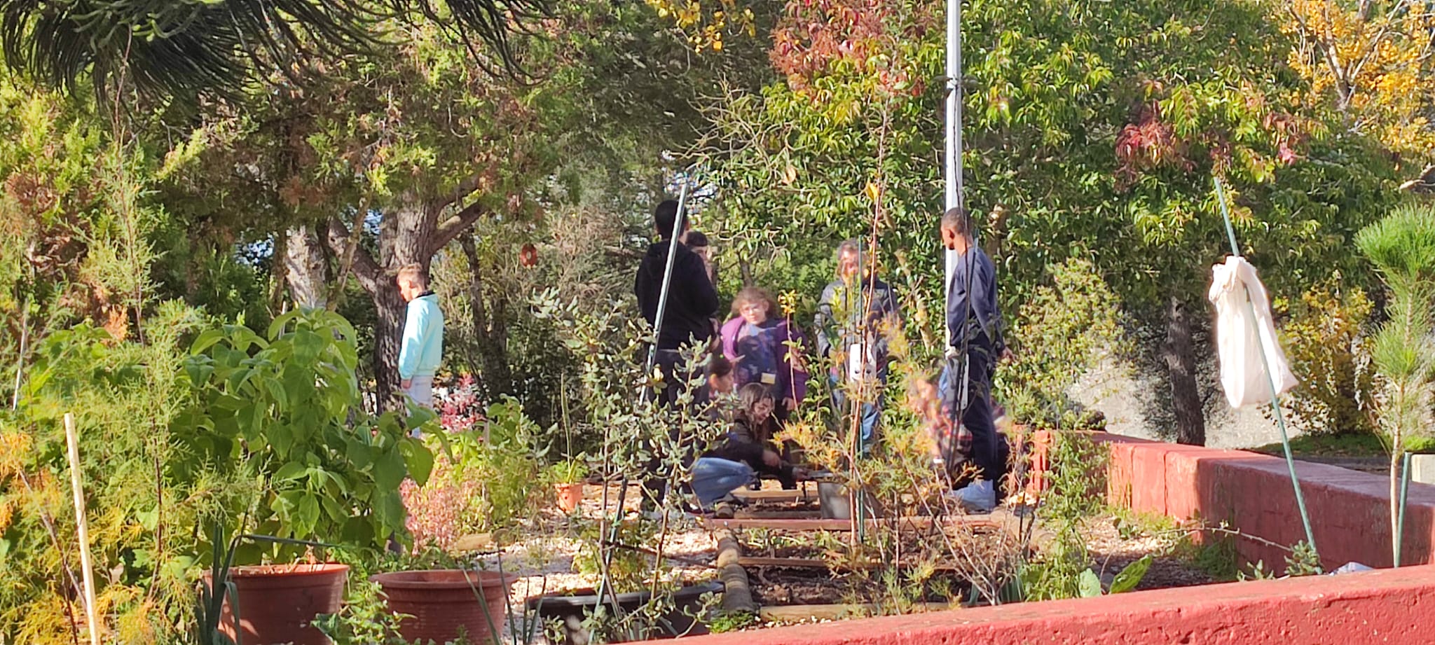 Uma vez por semana, o Centro de Apoio à Aprendizagem dinamiza uma sessão na Horta Escolar onde os alunos têm a oportunidade de cuidar do seu canteiro.