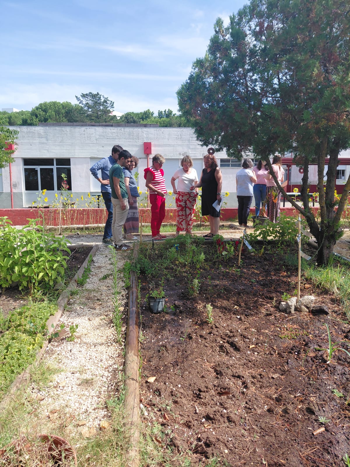 Na semana que antecedeu a abertura oficial do ano letivo, a Equipa EcoEscolas e o Grupo Disciplinar 520 organizaram, no decorrer das Jornadas Pedagógicas, uma visita guiada à Horta Escolar.