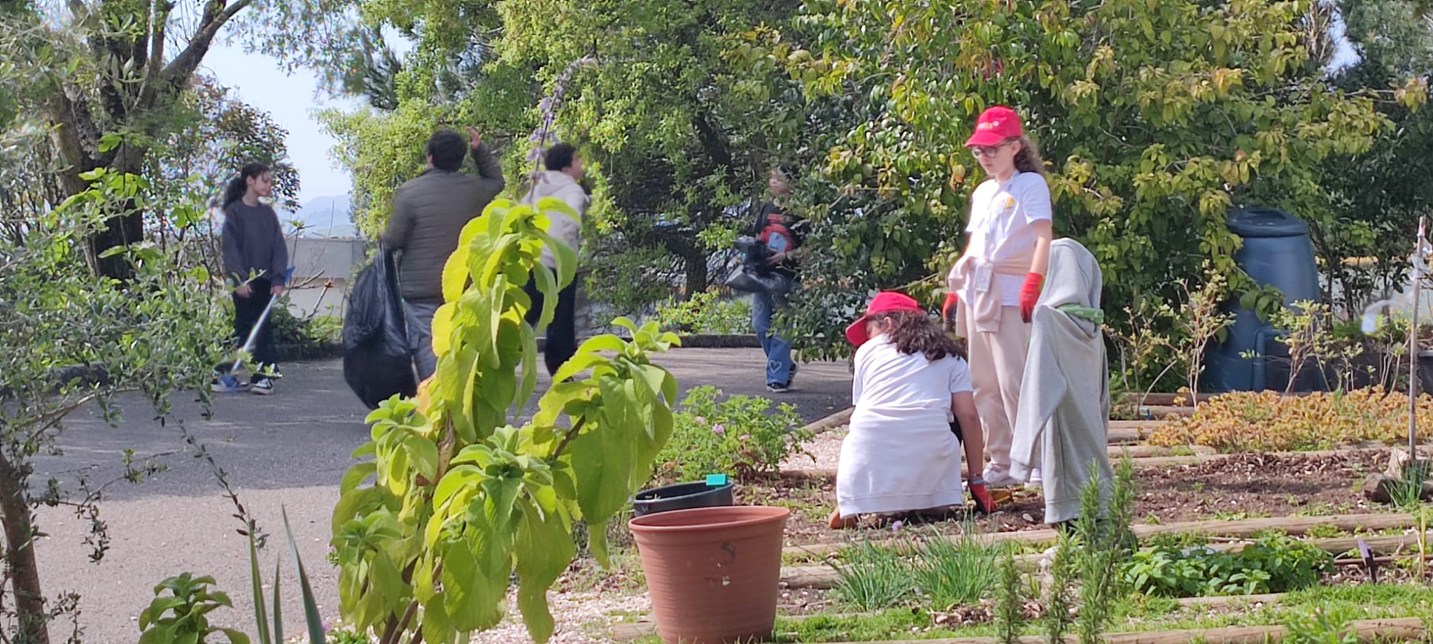 Alunos do Clube Ciência Viva realizam a manutenção da horta escolar.