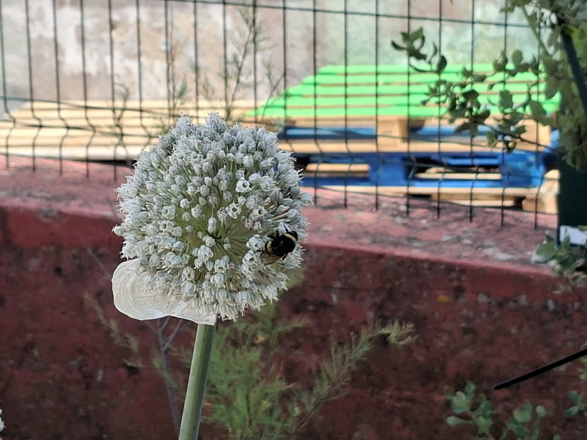 Viva a biodiversidade.