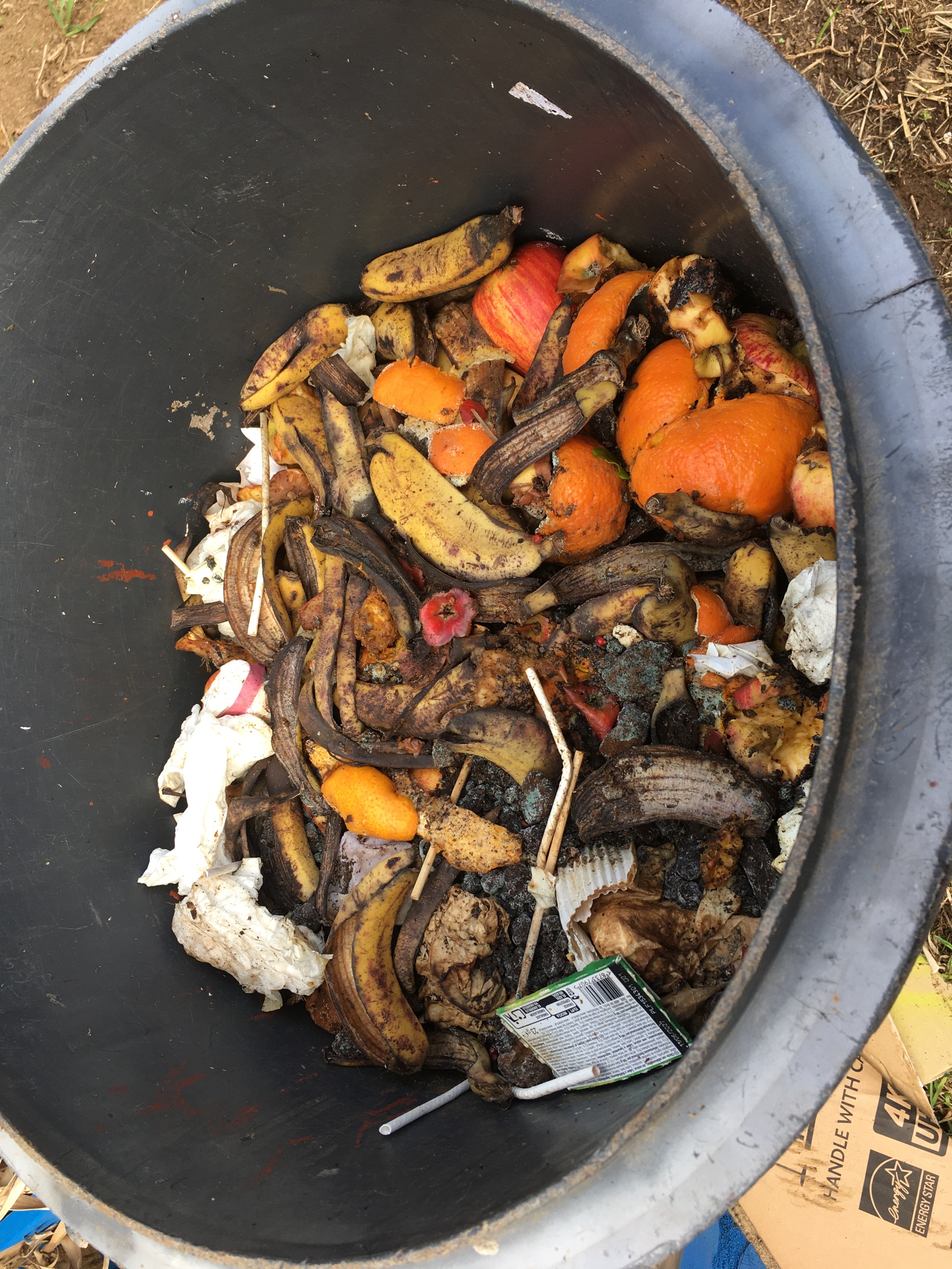 Devido às condições meteorológicas pouco favoráveis, não foi possível desenvolver muitas atividades no exterior até ao mês de fevereiro. 
Ainda assim, o projeto avançou com a implementação de práticas sustentáveis, nomeadamente a compostagem dos resíduos